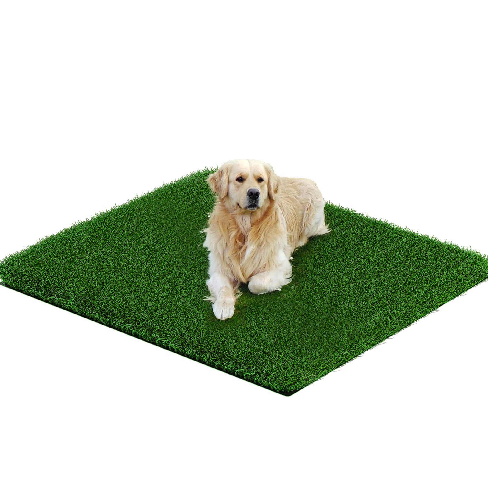 Perfect Grasspad For Dogs - 33 X 33 Inch Real Grass, High Absorbency, Easy Clean For Indoor/Outdoor, Ideal For Potty Training