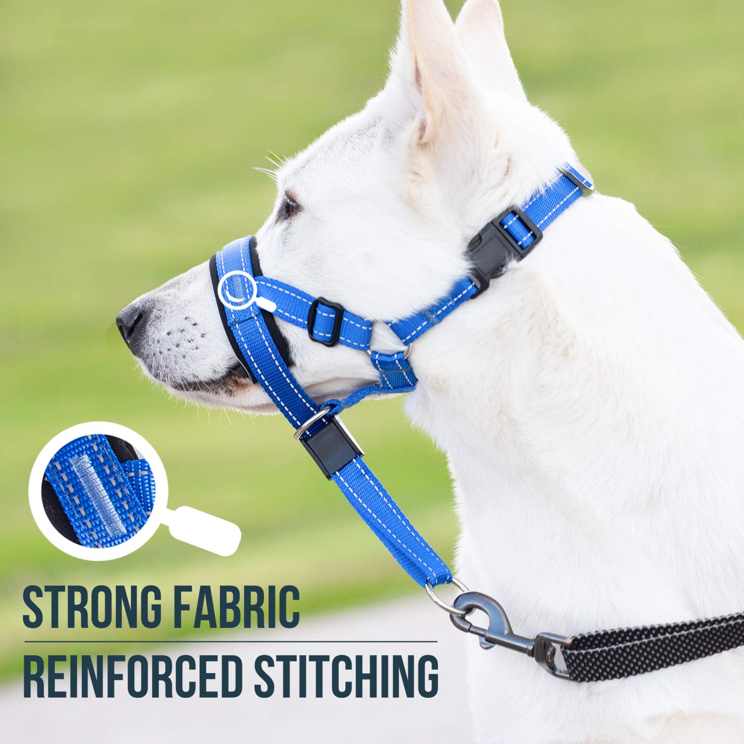 Goodboy Dog Head Halter With Safety Strap - Stops Heavy Pulling On The Leash - Padded Headcollar For Small Medium And Large Dog Sizes - Head Collar Training Guide Included (Size 4, Blue Nylon)