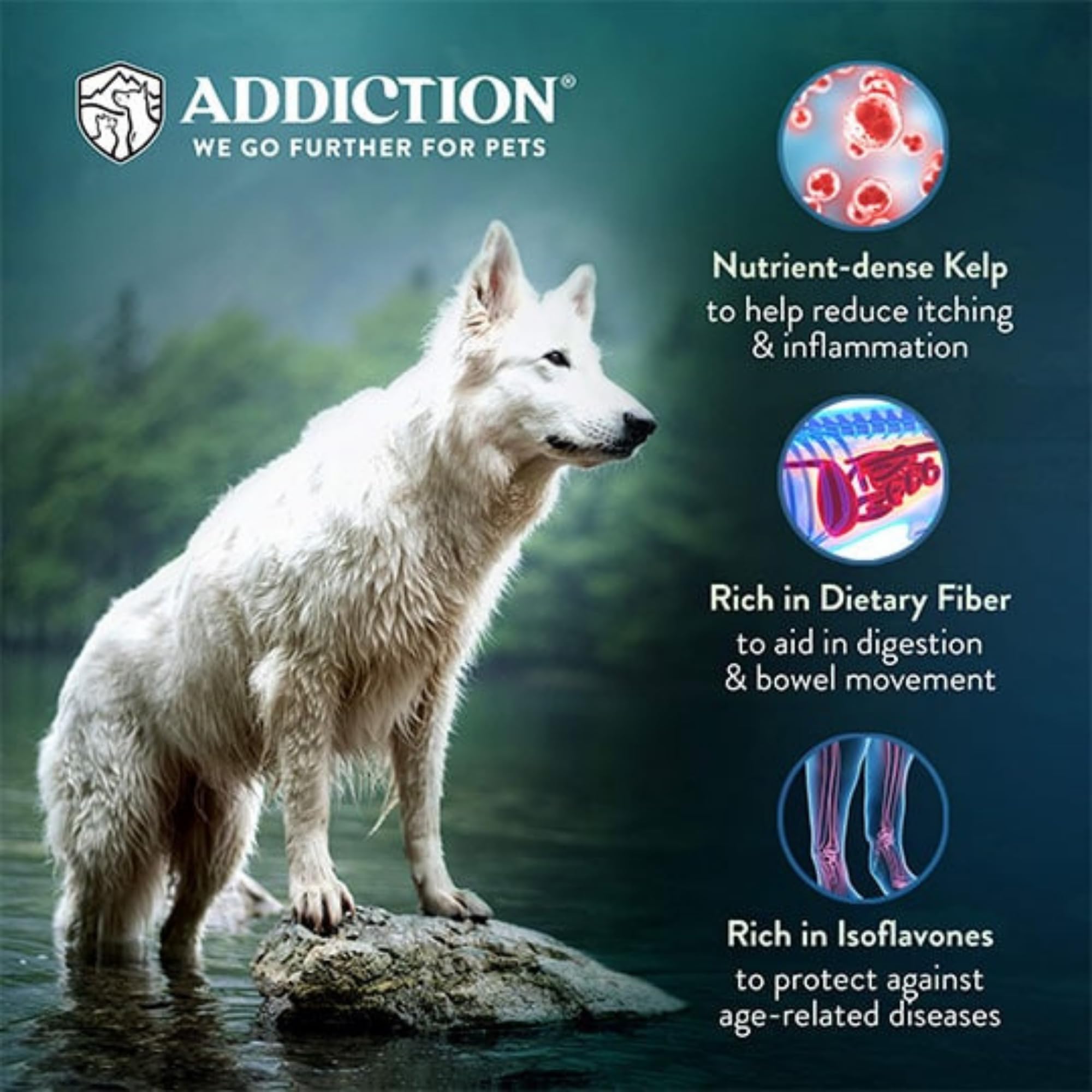 Addiction Vegetarian Dry Dog Food - Plant-Based Protein for Sensitive Skin - 4lb (Pack of 2) - Ideal for Dogs with Meat Allergies