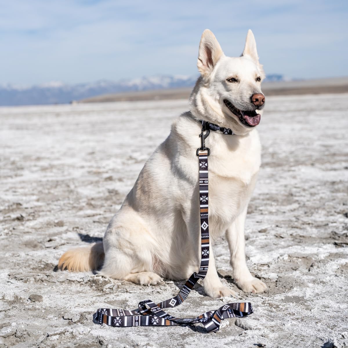 Wolfgang Heavy Duty, Adjustable Dog Collar With Quick Release Nylon Buckle For Walking & Training, Newmoon Print, Large