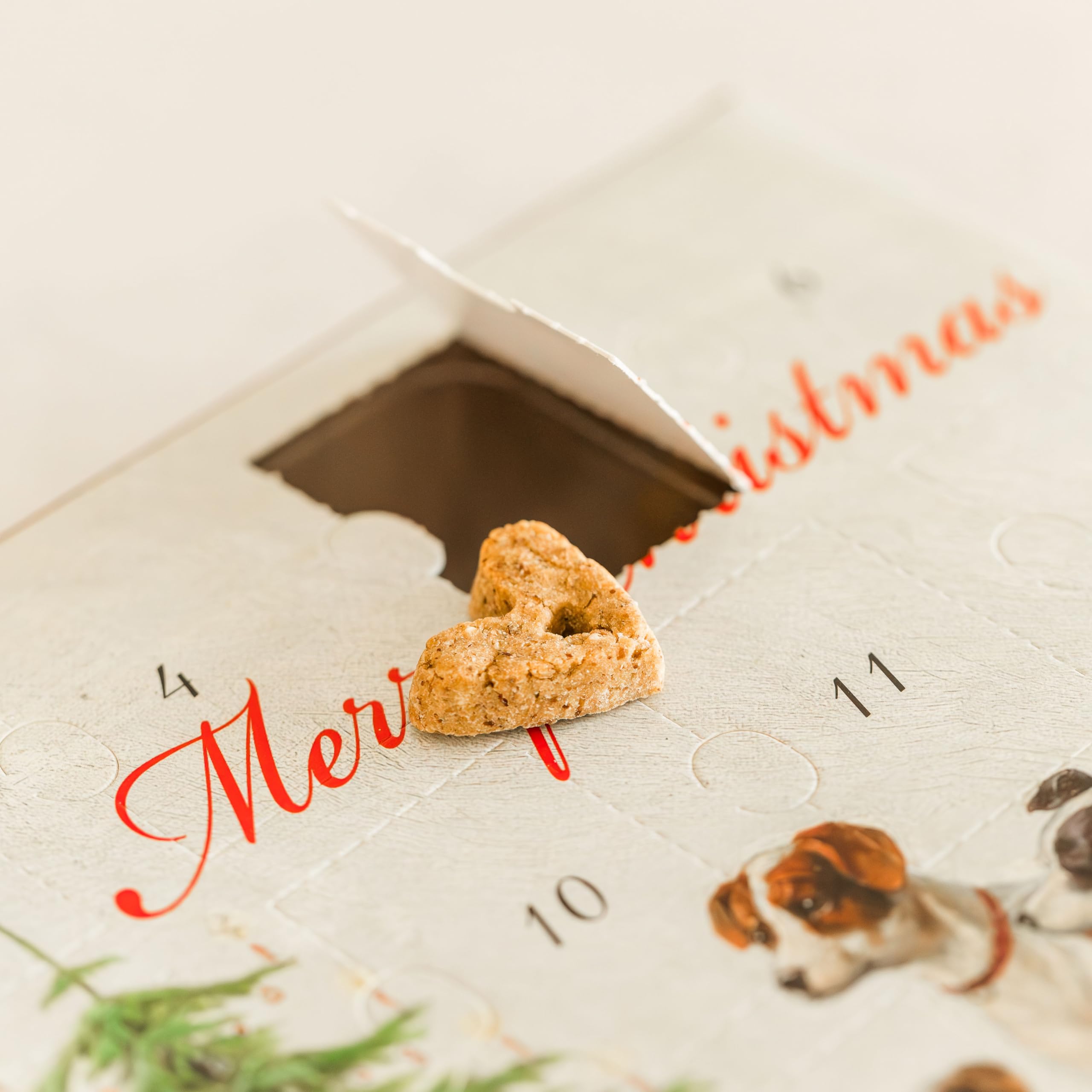 2025 Christmas Dog Advent Calendar for Dogs | 24 Days of Crunchy Peanut Butter & Quinoa Flavored Dog Treat Biscuits