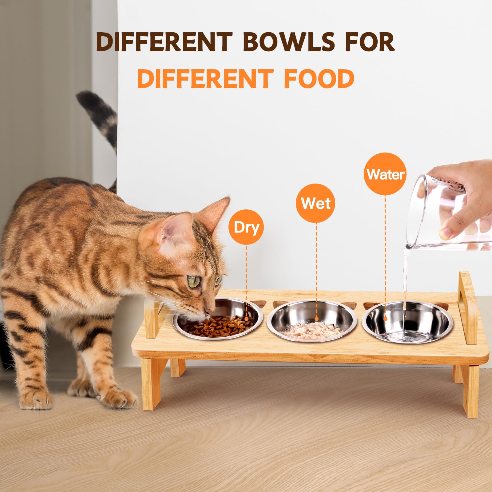 Woodever Elevated Cat Bowls Set - 3 Stainless Steel Raised Feeding Bowls, 15° Tilt, Natural Wood Finish, Anti-Vomiting, Dishwasher Safe
