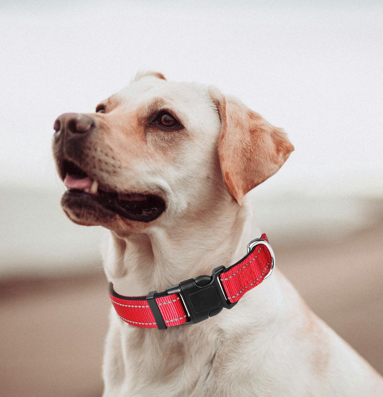 Red Dog Collar, Reflective Pet Collar with Buckle Adjustable Safety Nylon Collars for Small Medium Large Dogs, XL