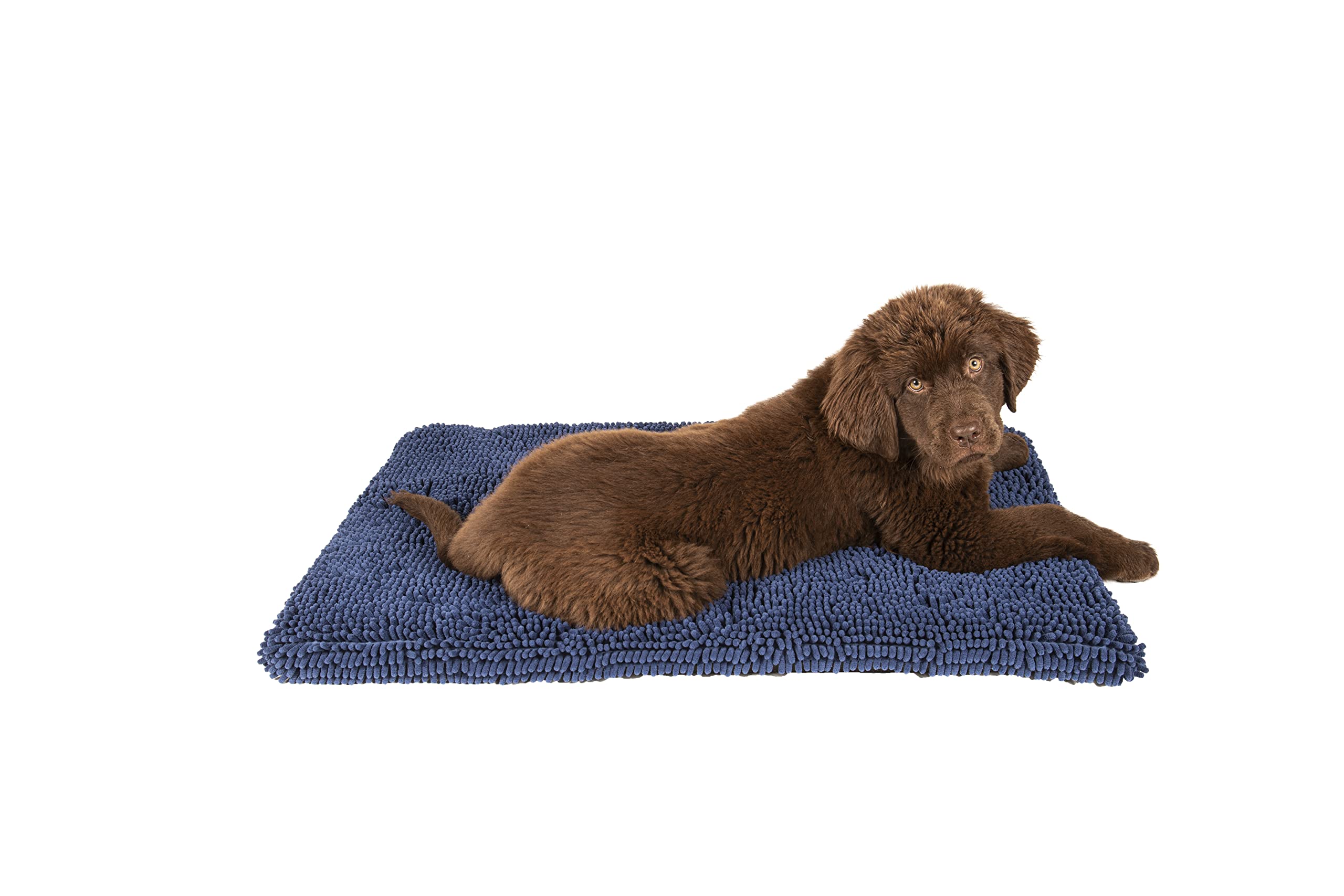 Dog Gone Smart Pet Products Dirty Dog Microfiber Cushion Pad, Bermuda Blue, 23X36 Large (Dgsddcp2397)