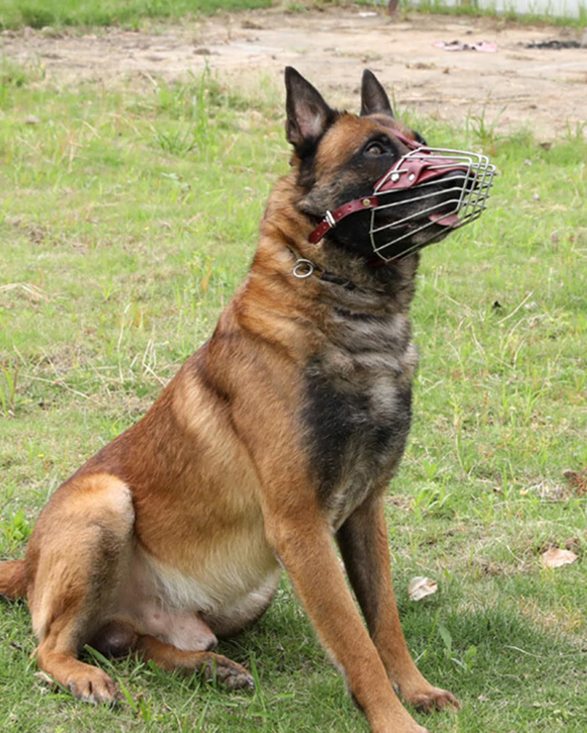 Dog Muzzle For Large Dogs, German Shepherd Muzzle With Adjustable Leather Straps And Soft Pads (M)