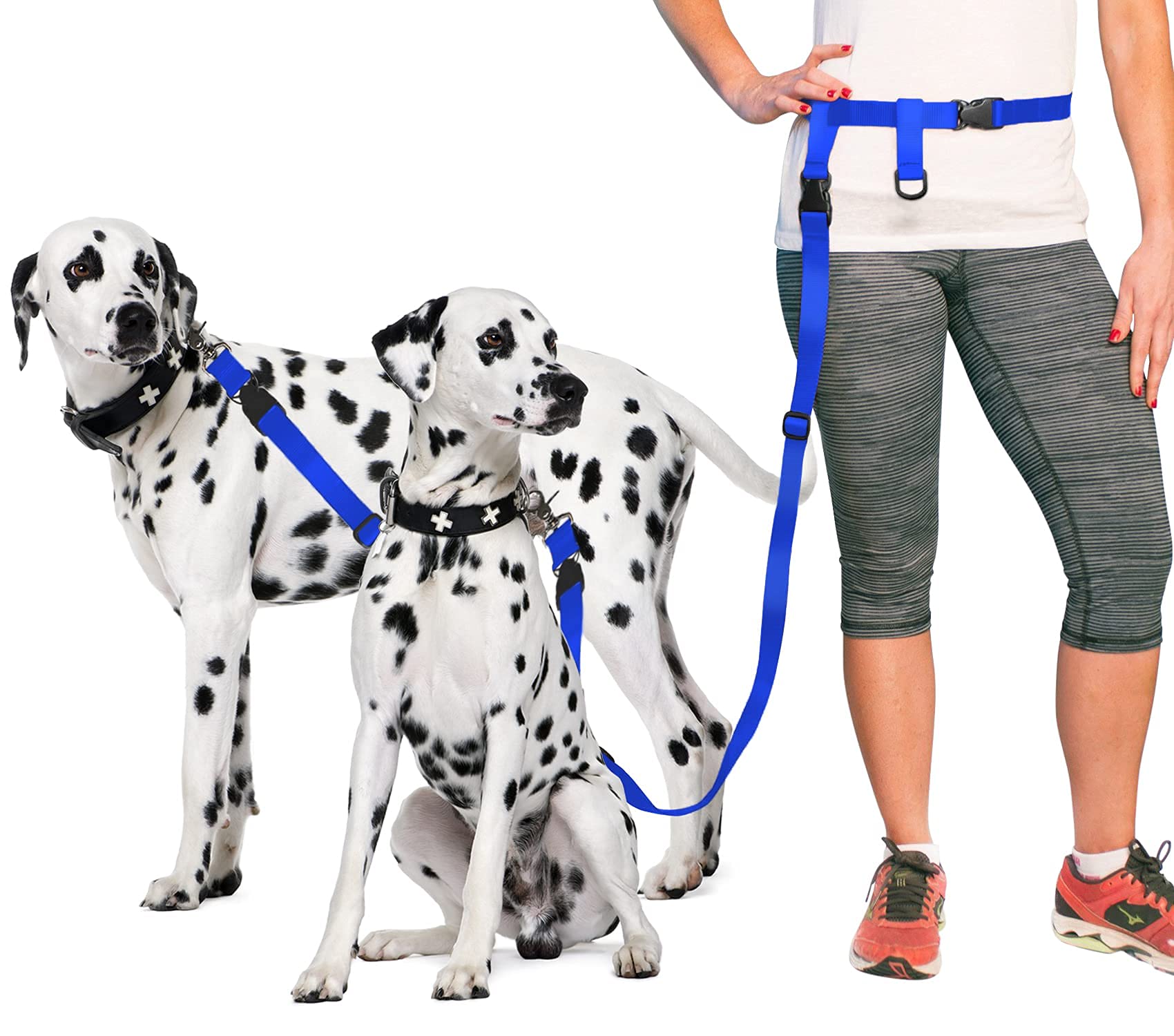 The Buddy System Accessories For Our Dog Leashes Made In Usa (Double Buddy, Regular Dog Blue)