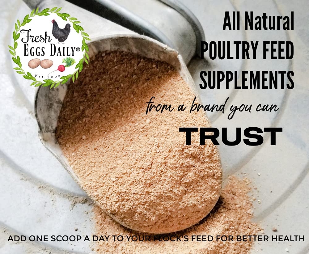 Fresh Eggs Daily Poultry Probiotics Feed Supplement - Natural Digestive & Immune Support for Chickens & Ducks - Enhances Egg Qua