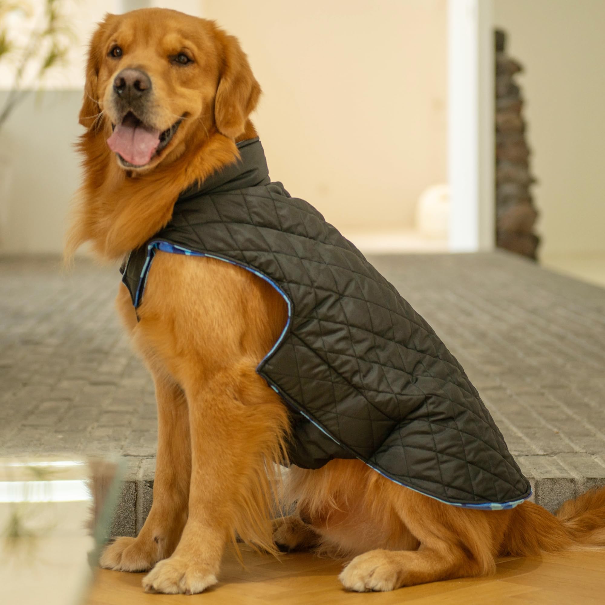 Cutebone Winter Dog Jacket - Waterproof, Windproof, Reversible, Adjustable Cold Weather Coat For Small To Large Dogs - Soft, Thi