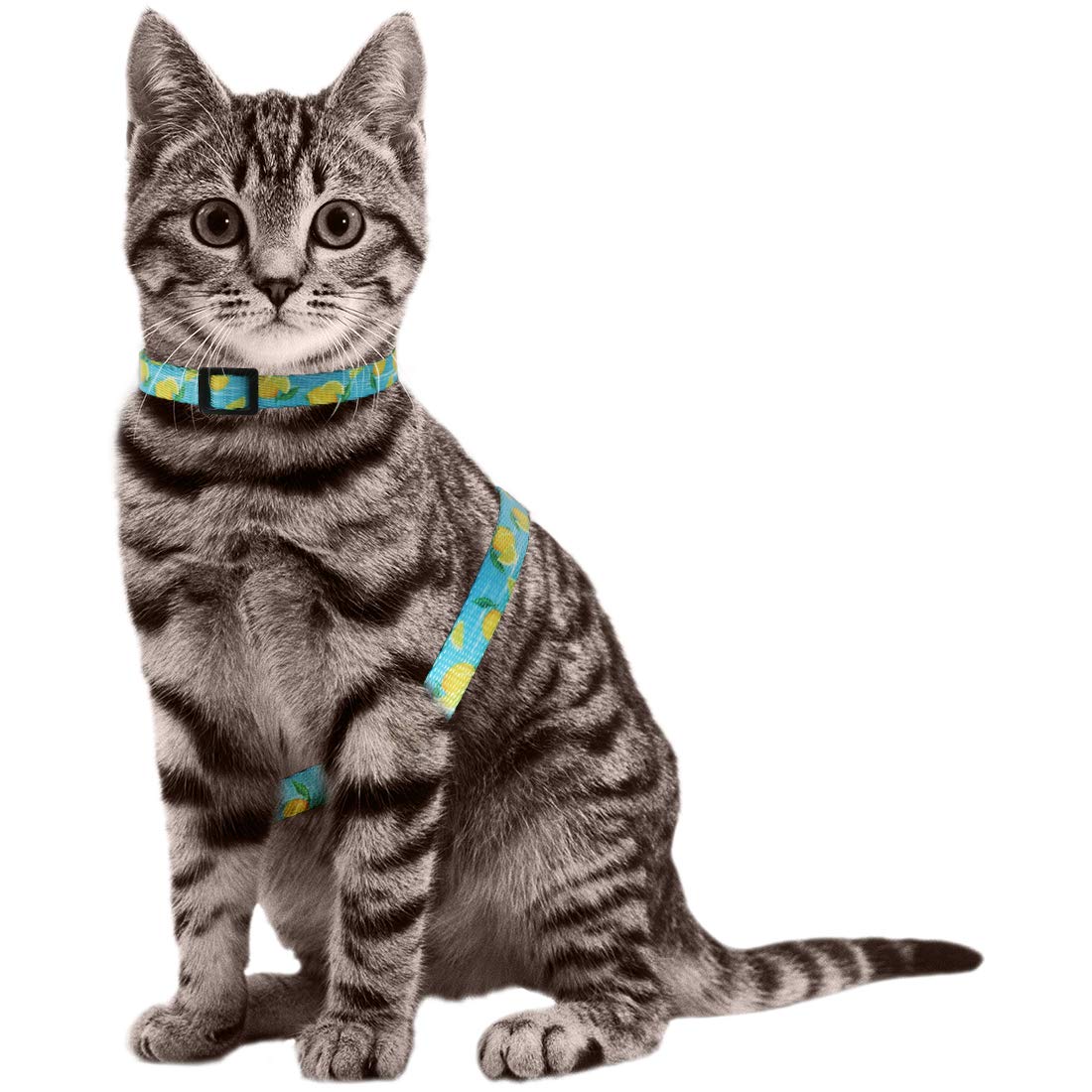 Azuza Cat Harness And Leash Set For Safe Walking And Travel, Escape Proof Cat Harness, Lightweight Soft And Comfortable, Adjustable Kitten Harness For Small Medium Large Cats, Lemon