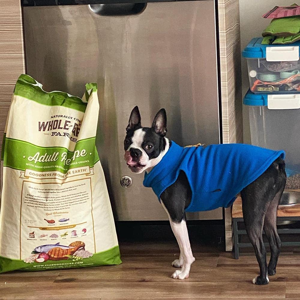 Gooby Fleece Vest Dog Sweater - Deep Blue, X-Large - Warm Pullover Fleece Dog Jacket With O-Ring Leash - Winter Small Dog Sweater Coat - Cold Weather Dog Clothes For Small Dogs Boy Or Girl