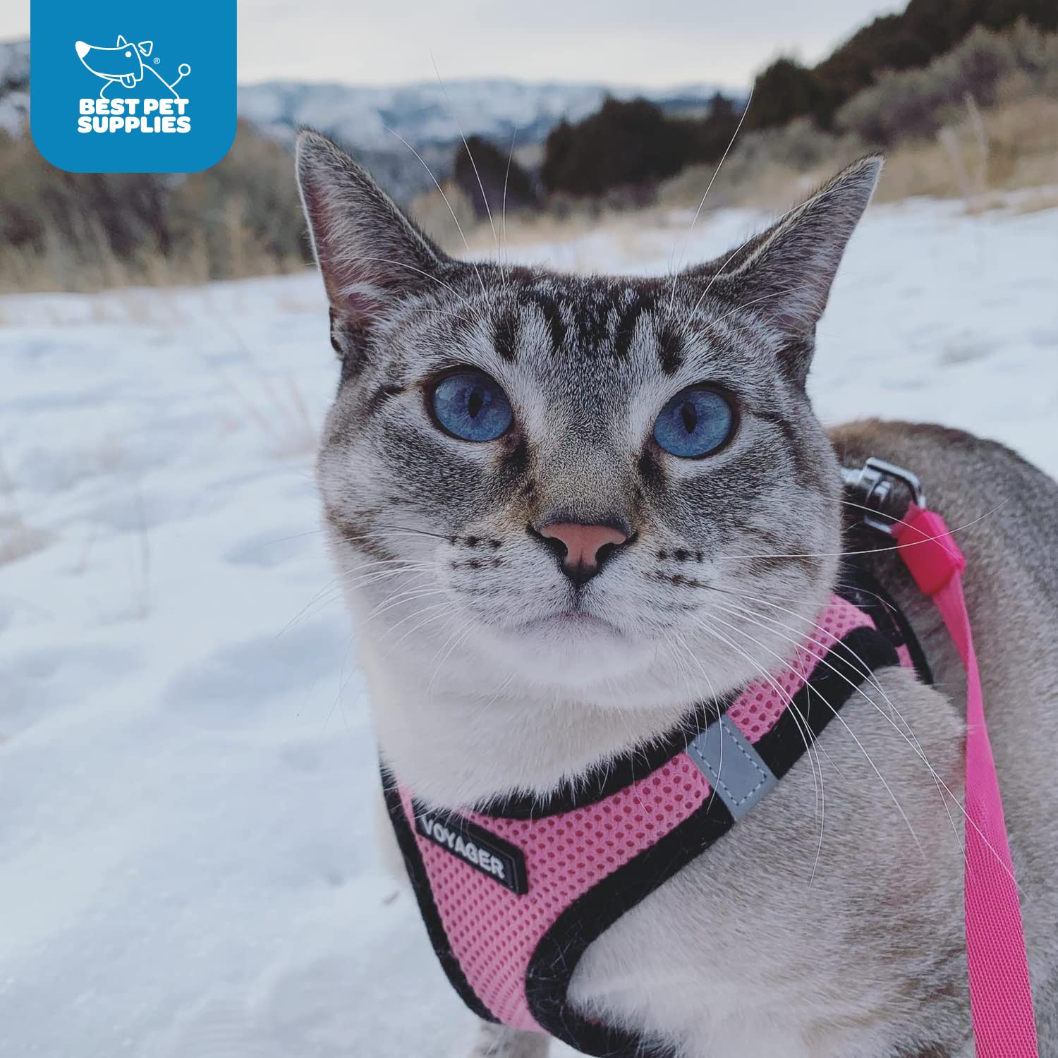 Voyager Step-In Air Dog Harness - All Weather Mesh Step In Vest Harness For Small And Medium Dogs And Cats By Best Pet Supplies - Harness (Pink/Black Trim), S (Chest: 14.5-16')