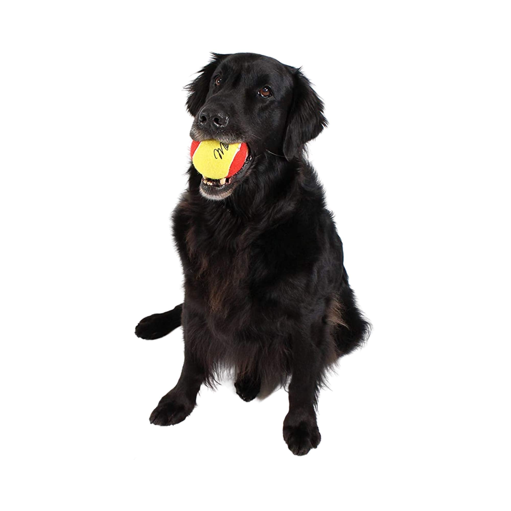 Midlee 3 Inch Durable Rubber Tennis Balls for Dogs, Pack of 4, Multicolored