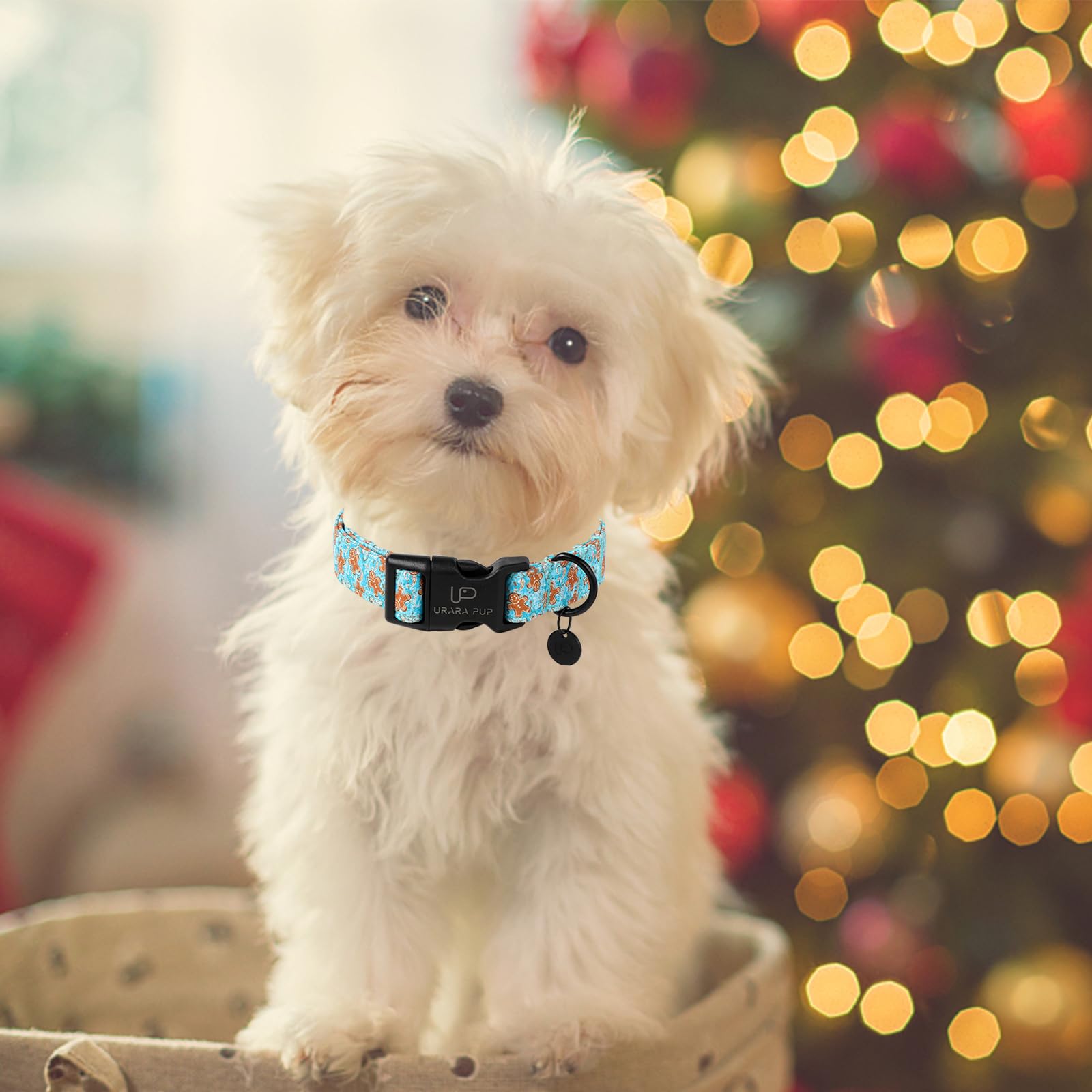 Up Urara Pup Christmas Dog Collar,Adjustable Gingerbread Pet Collar,Chriatmas Puppy Collar For Small Medium Large Dogs,M