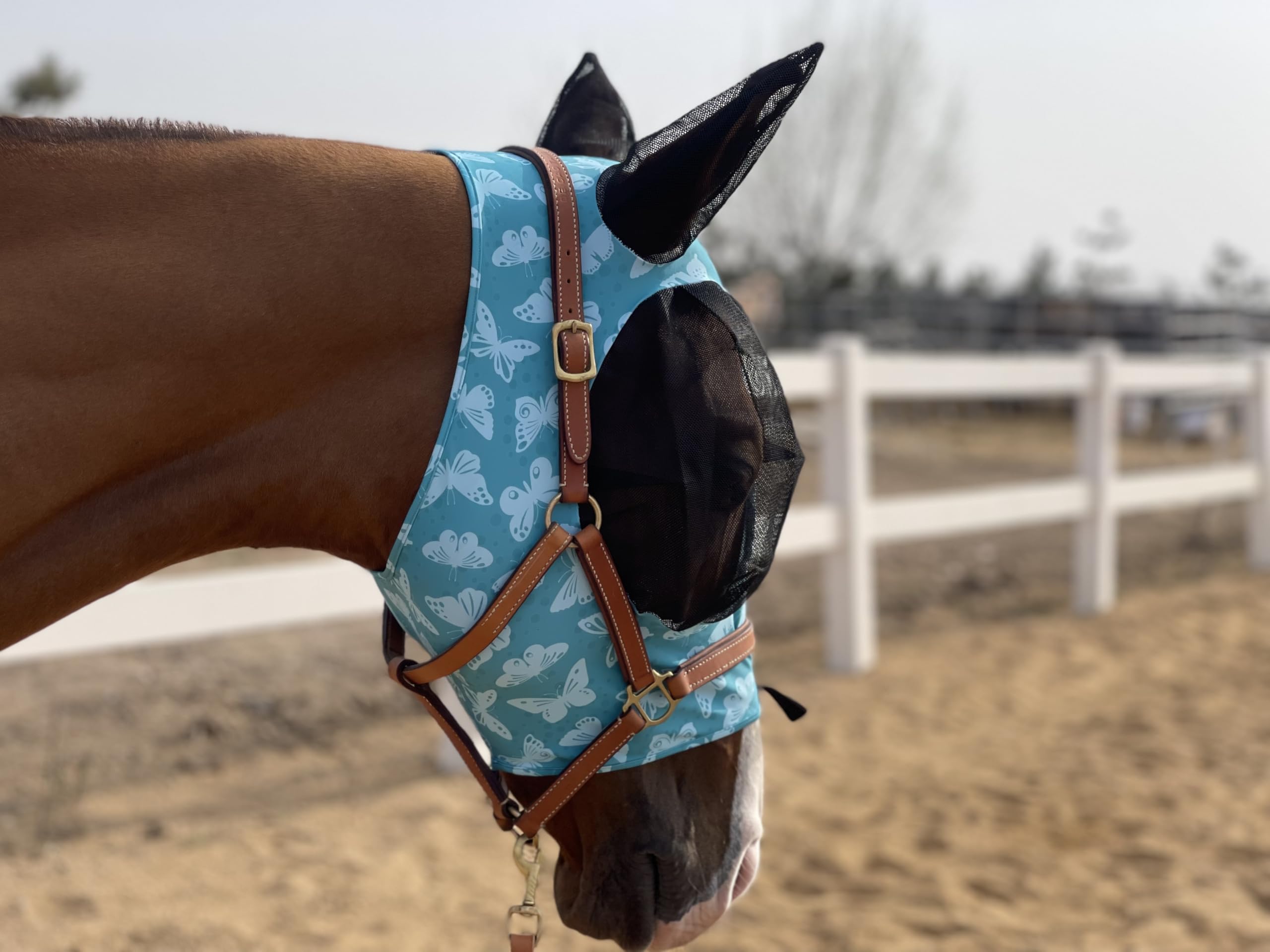 Horse Fly Mask Super Comfort Horse Fly Mask Elasticity Fly Mask with Ears We Only Make Products That Horses Like (Lake Green, L)