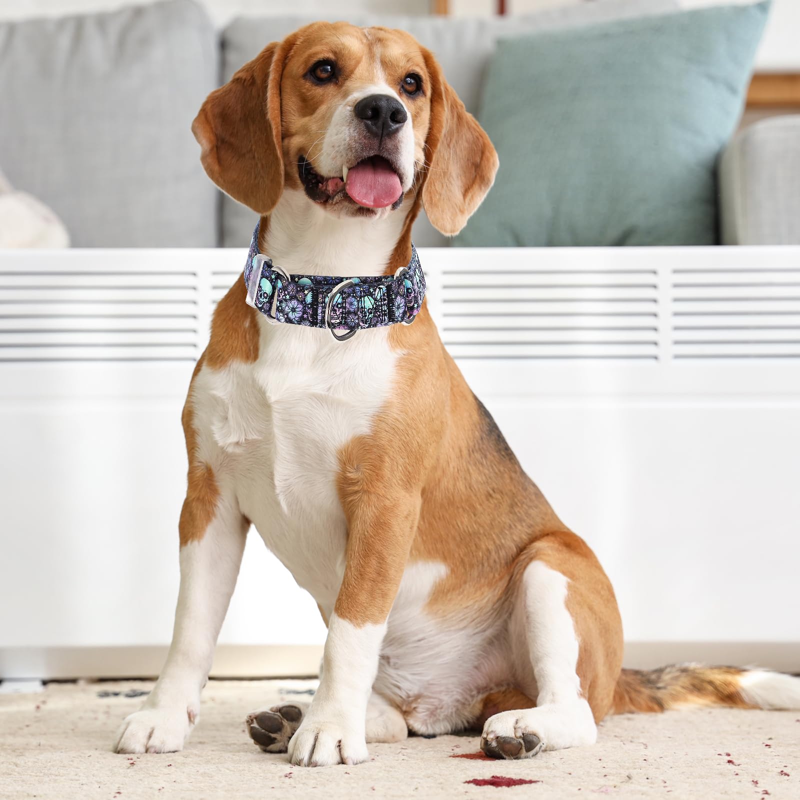 Martingale Collar For Dog - Adjustable No-Slip Dog Collar With Skull Design For Large, Medium, Small - Premium Durable Training