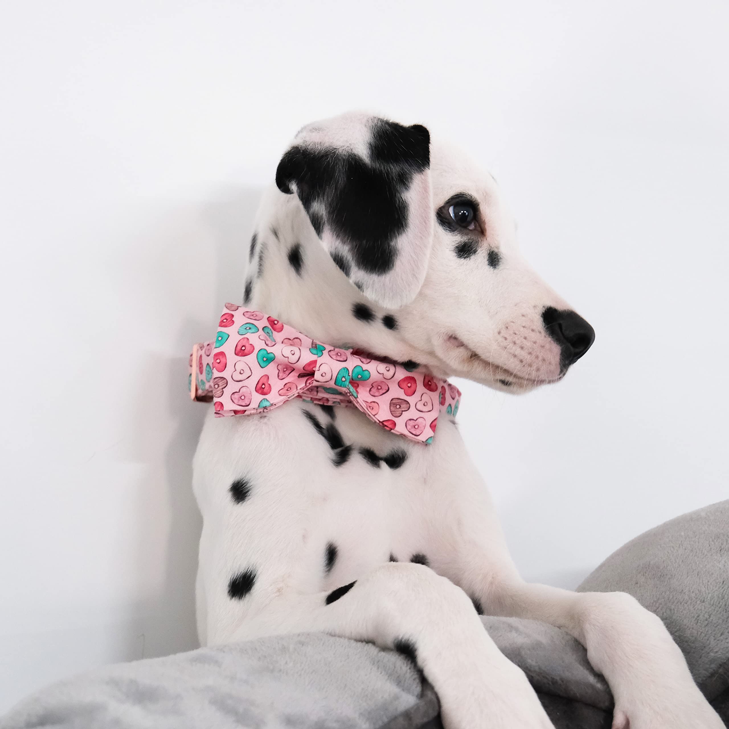 MACA Bates Valentines Dog Collar with Bow Flower Bow tie, Sweet Heart Adjustable Collars for Small Medium Large Dogs with Metal