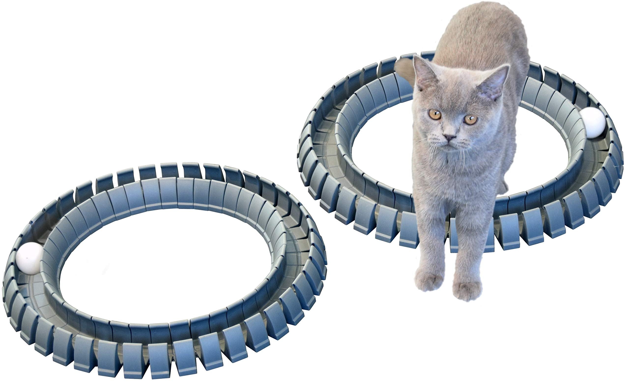 Magic Cat Track And Ball Toy For Kittens Pets Kitties Cats