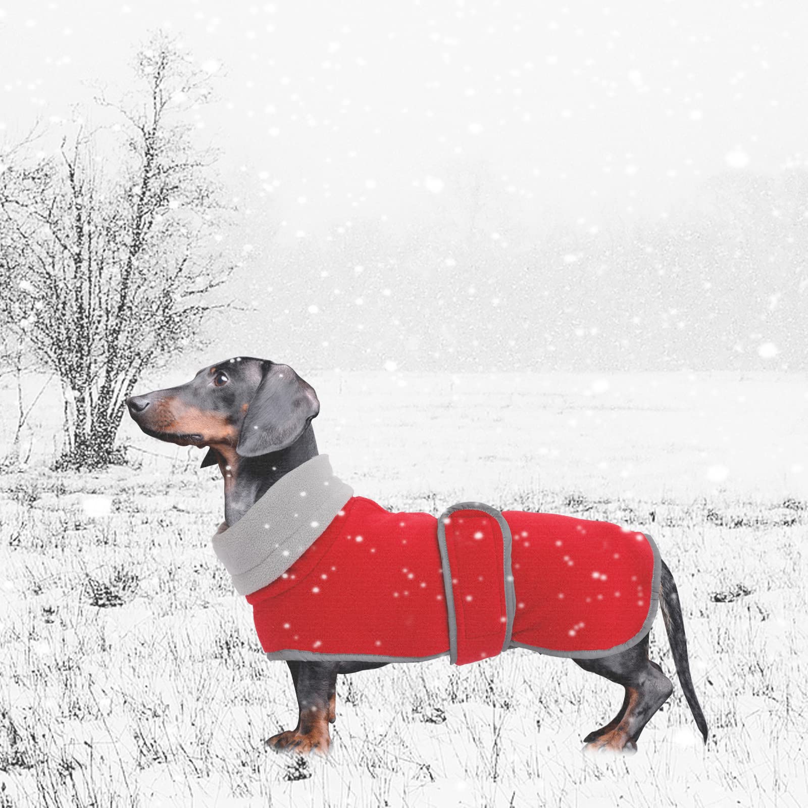 Dog Jacket, Dog Coat Perfect For Dachshunds,Dog Winter Coat With Padded Fleece Lining And High Collar,Dog Snowsuit With Adjustable Bands-Red-Xs