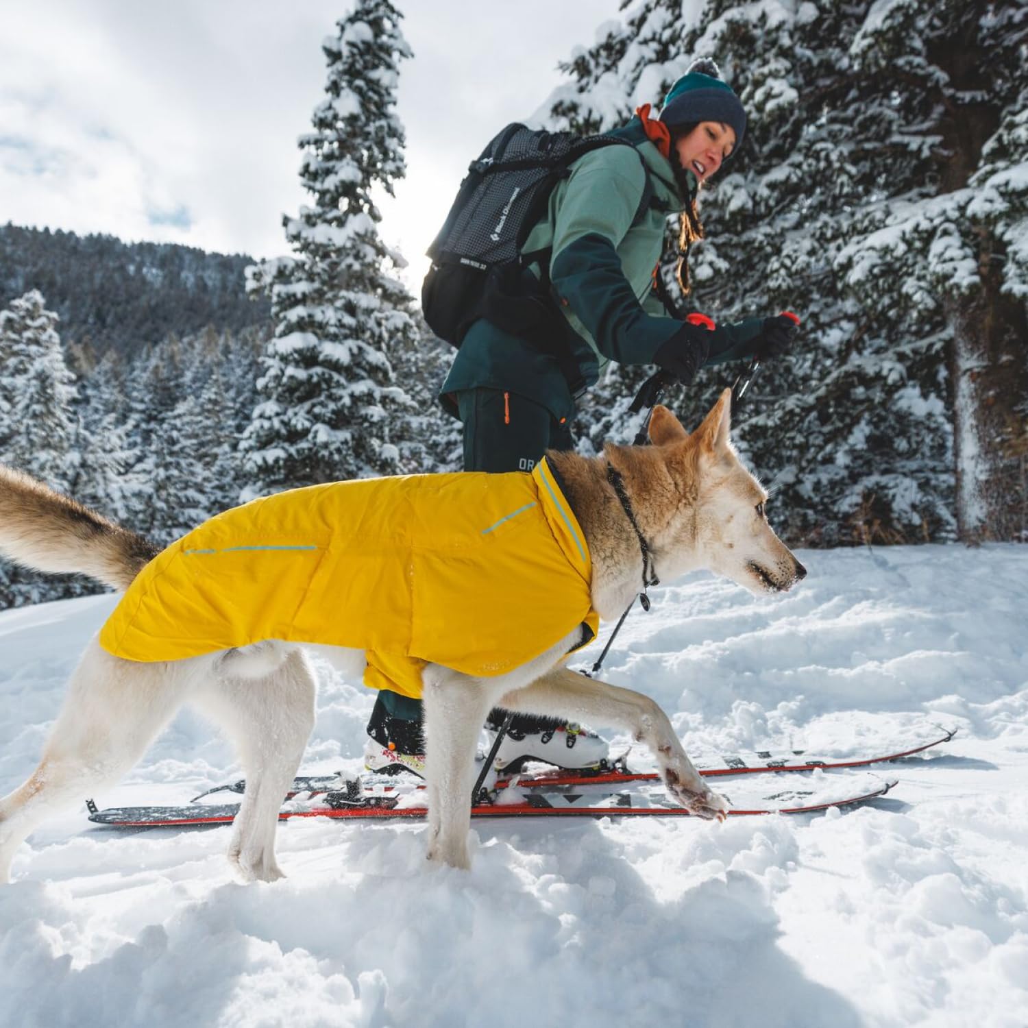 Ruffwear, Knot-A-Collar, Climbing Rope Dog Collar For Everyday Use, Blue Pool, 20''-26''