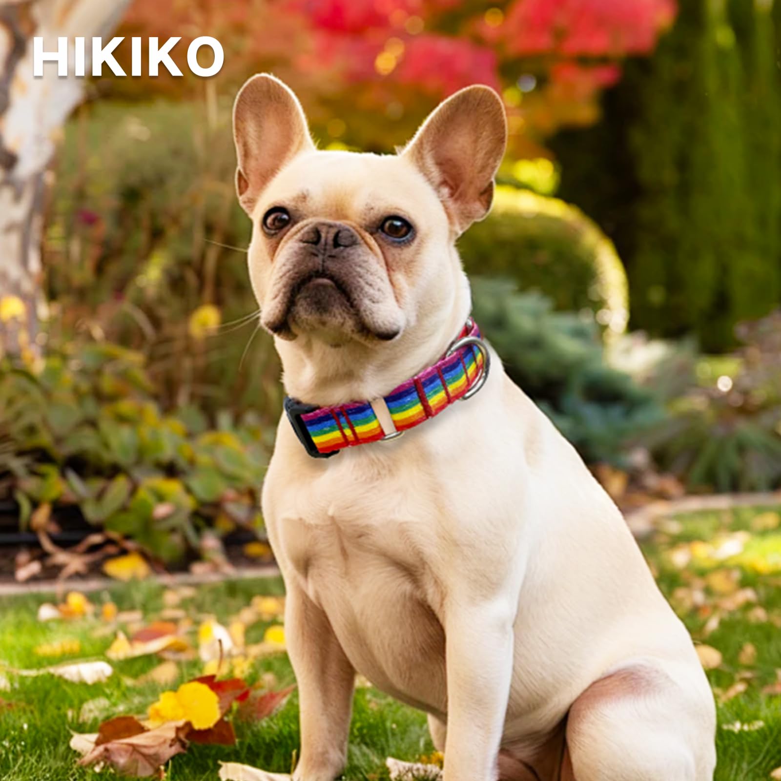 Hikiko Martingale Collar For Dogs Adjustable Soft Nylon Dog Collars With Cute Patterns For Small Medium Large Dog(Rainbow,Large)