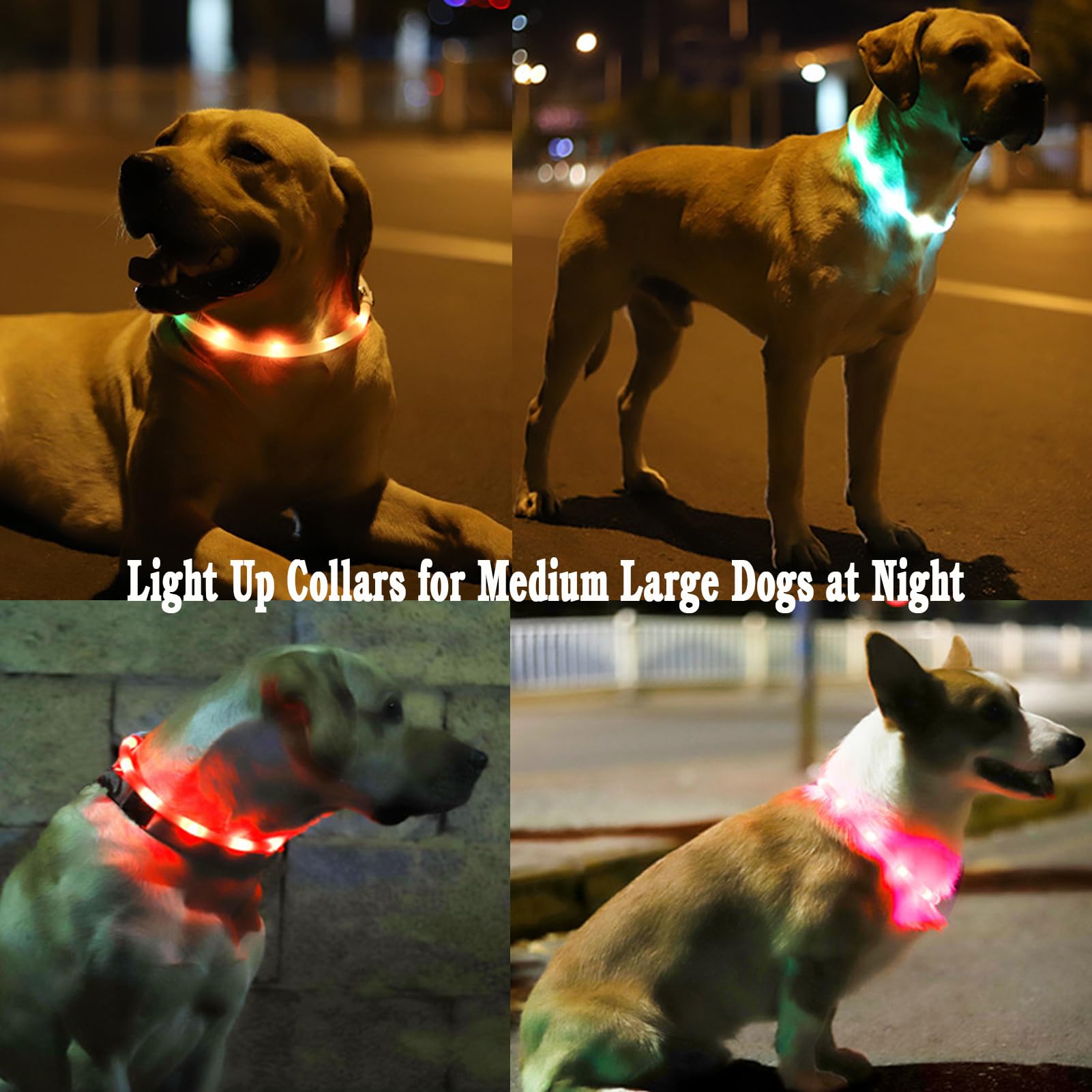 2 Pack LED Dog Collar, Rechargeable Light Up Dog Collars, Dog Collar for Night Walking, Improved Dog Safety & Visibility at Nigh