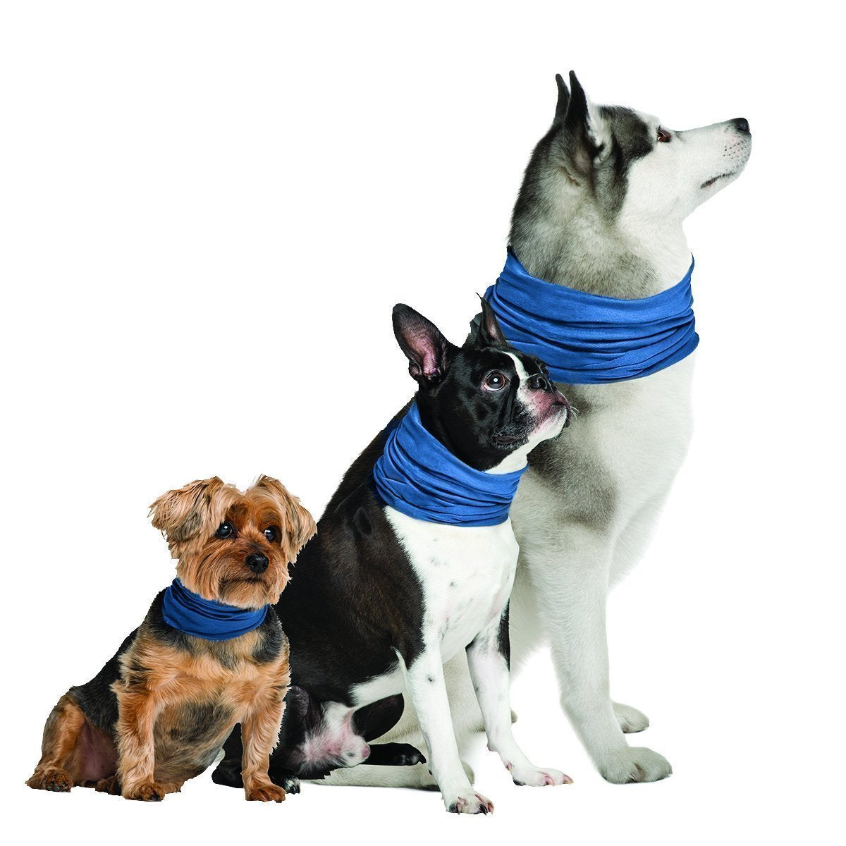 Novel Brands K9 Chill Dog Cooling Collar (Small/Medium 8'- 20')