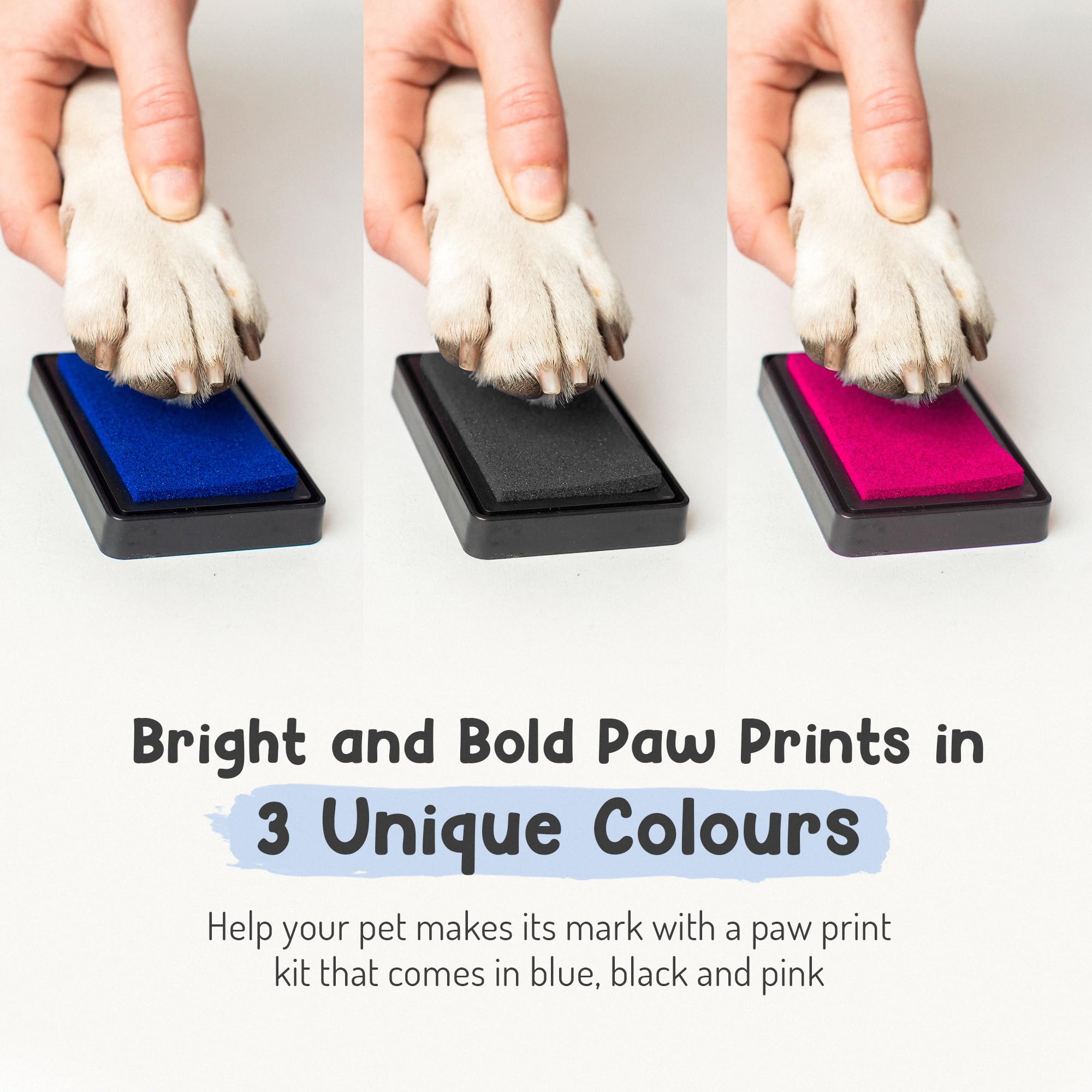 Pet Paw Print Impression Kit | Dog Ink Paw Print Kit | Pet Paw Print Kit | An Easy To Use Paw Print Stamp Pad For Dogs | Contains An Ink Pad For Dog Paw Prints That You Can Treasure (Blue, Big)