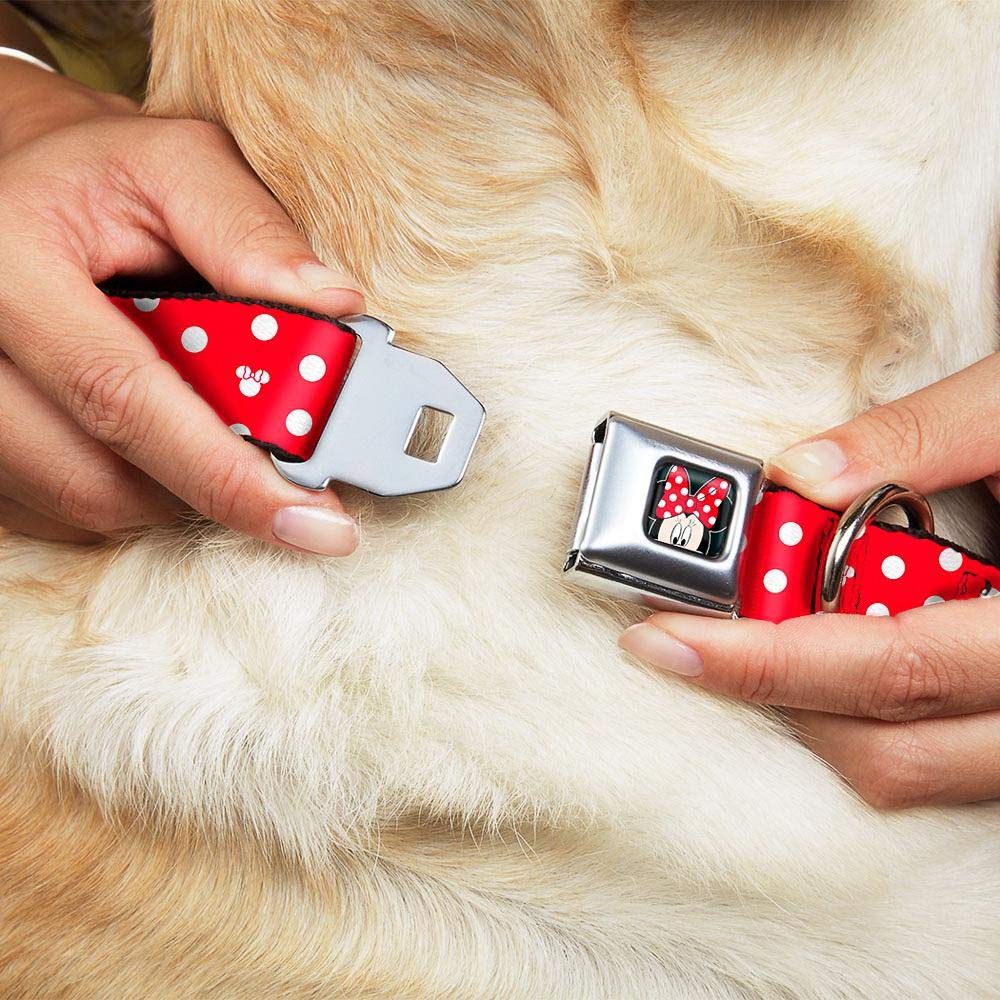 Buckle-Down Seatbelt Buckle Dog Collar - Minnie Mouse Polka Dot/Mini Silhouette Red/White - 1' Wide - Fits 9-15' Neck - Small