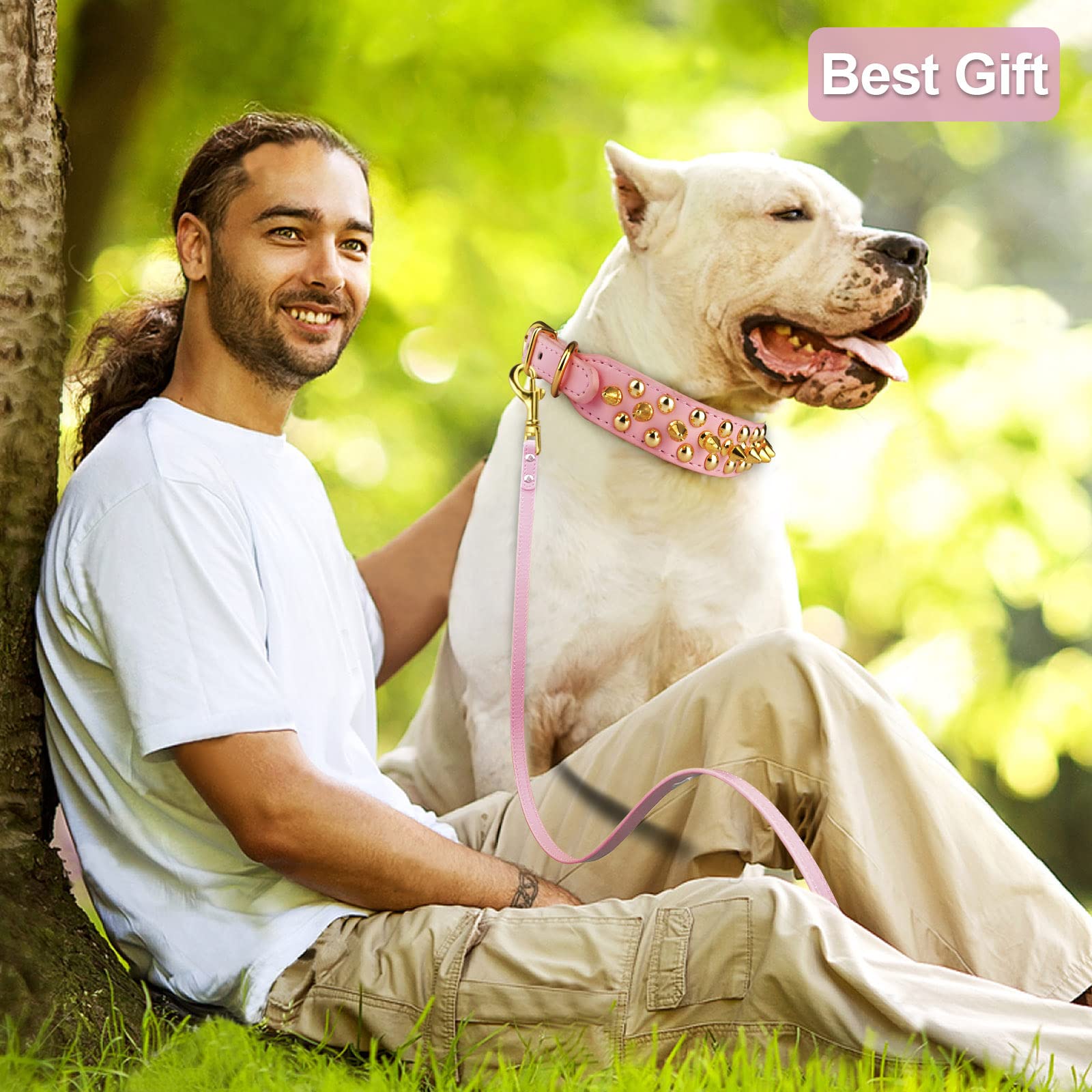 Epesiri Spiked Dog Collar, Adjustable Pink-Gold PU Leather, Includes Leash, Size L (13.7"-16")