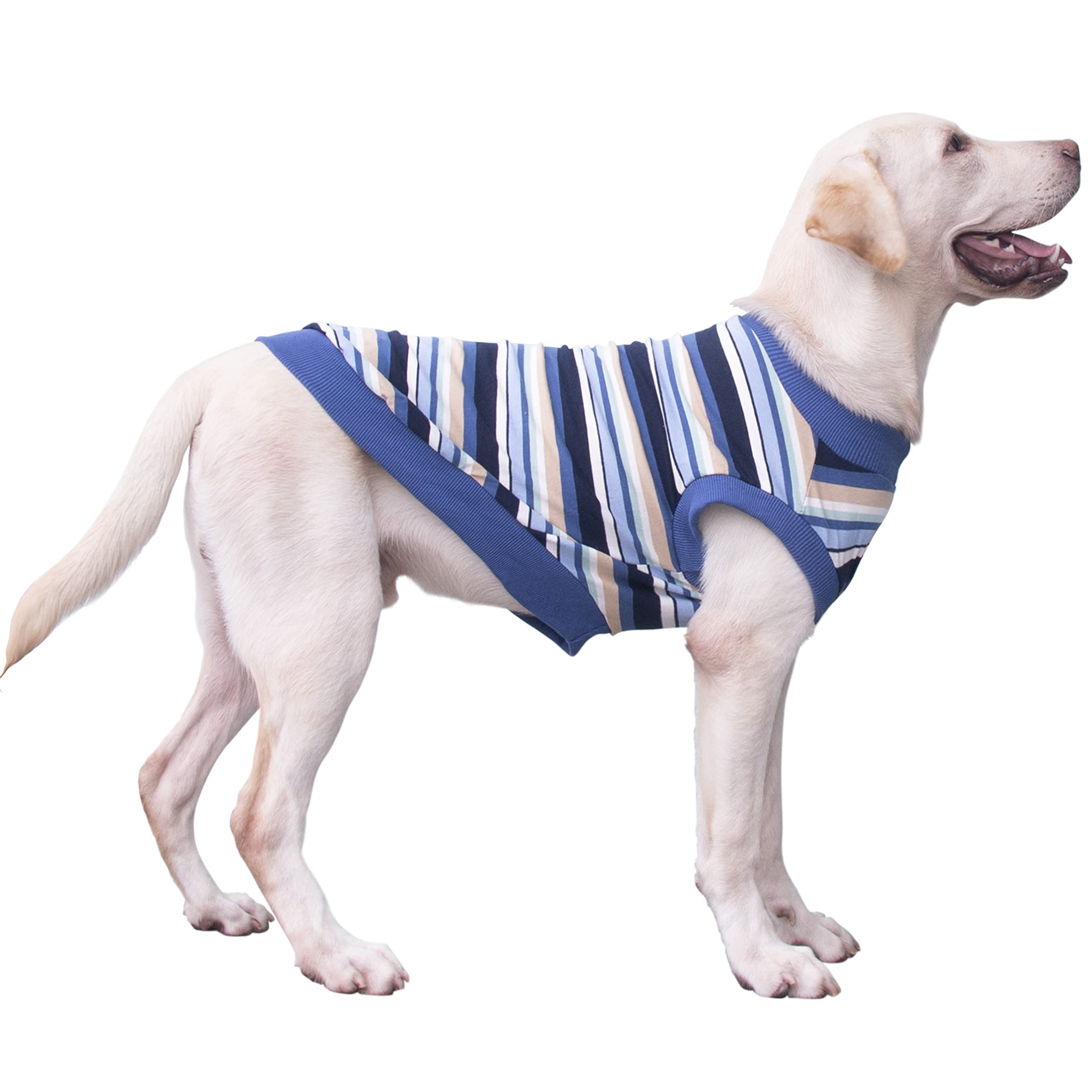 Arunners Extra Large Dog T Shirts Clothes Sleeveless Tank Top Vest For Labrador Rottweiler Great Dane, Blue, 3X-Large