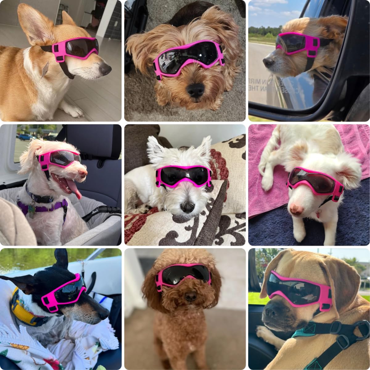Petleso Dog Goggles Small Breed, Uv Protection Dog Sunglasses Medium Breed Dog Goggles For Medium Dog Outdoor Riding Driving, Medium Pink