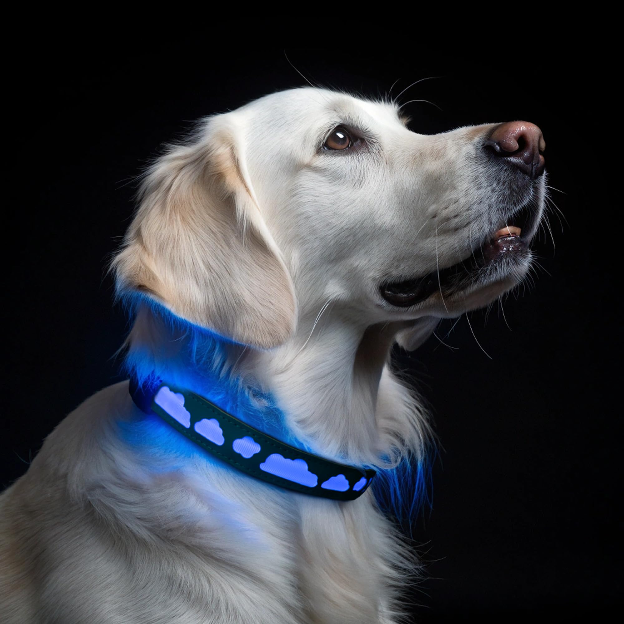 Airtag Dog Collar With Airtag Holder - Dog Tracking Collar With Led Lights, Gps, And Air Tag Holder Collar Waterproof - Designed