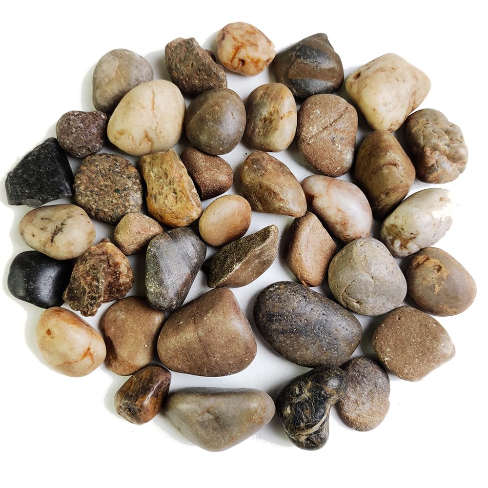 HappyFiller Decorative Natural Pebbles Polished Rocks Stones Mixed Color for Aquarium Gravel,Fish Turtle Tank,Outdoor Indoor Pla