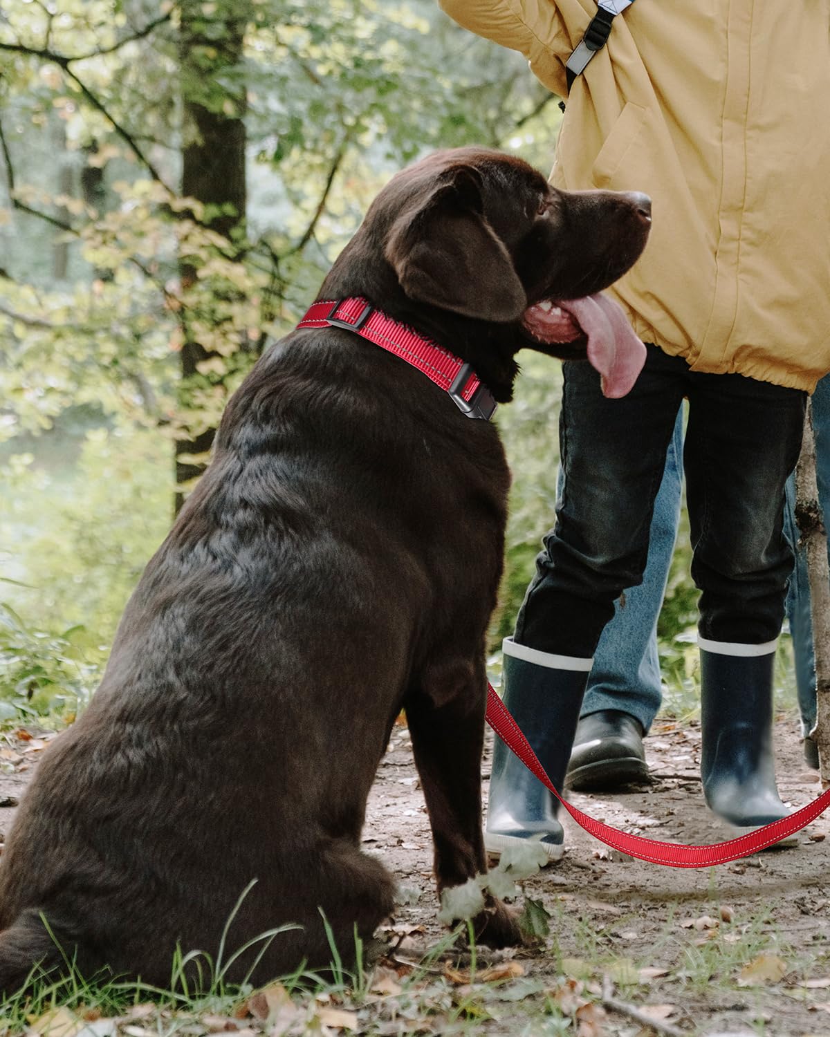 Tagme Reflective Nylon Dog Collars, Adjustable Classic Dog Collar With Quick Release Buckle For Large Dogs, Red, 1.0' Width