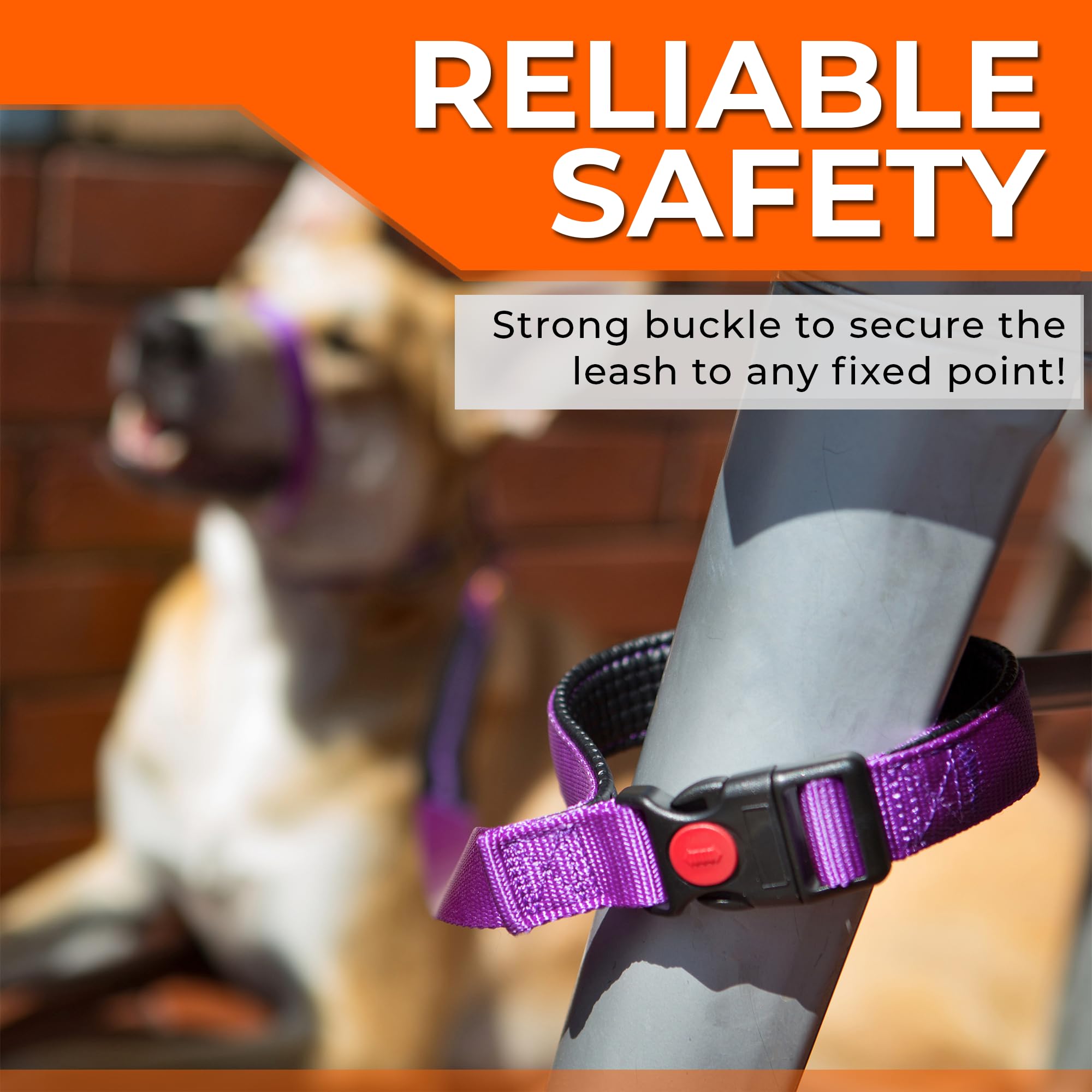 Canny Leash Connect | Heavy Duty Dog Leash for Small, Medium, & Large Dogs | Handle, Buckle, Padded Grip & Secure Clip | Tie You