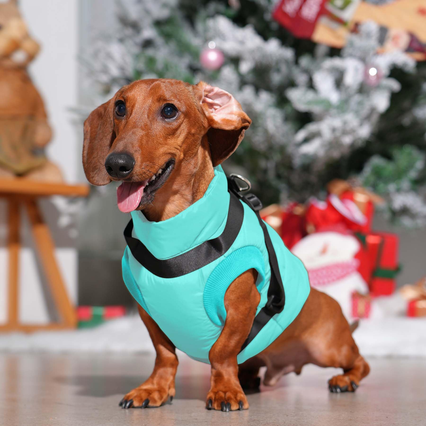 Joydaog Dog Jacket With Harness,Fleece Lined Warm Puppy Coat For Winter,Soft Windproof Small Dog Vest,Bluegreen S