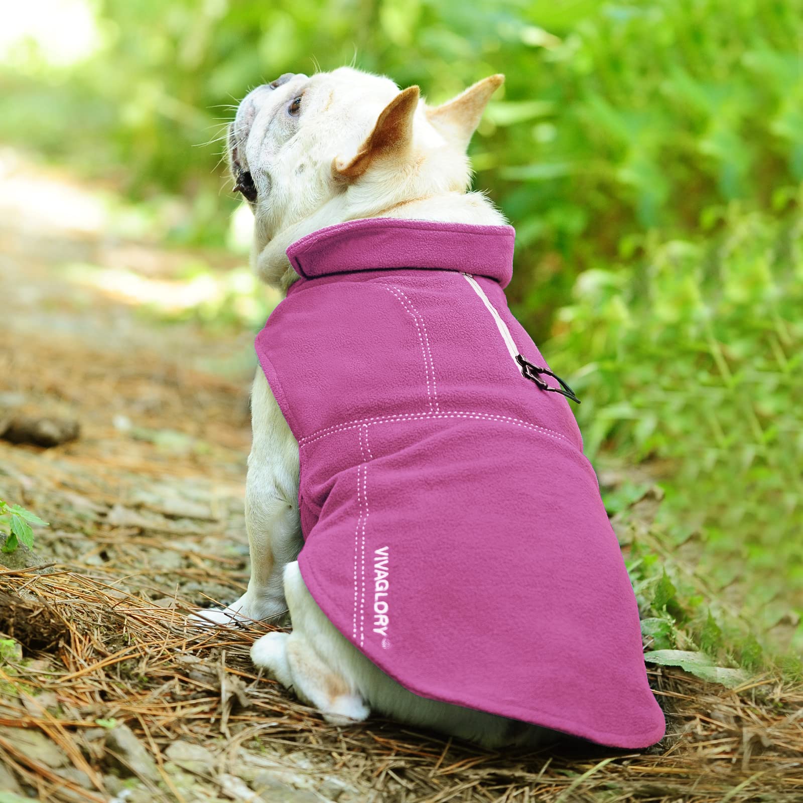 VIVAGLORY Dog Fleece Vest, Dog Cold Weather Sweater for Medium Dogs, Adjustable Winter Warm Clothes with Two-Way Zipper Opening,