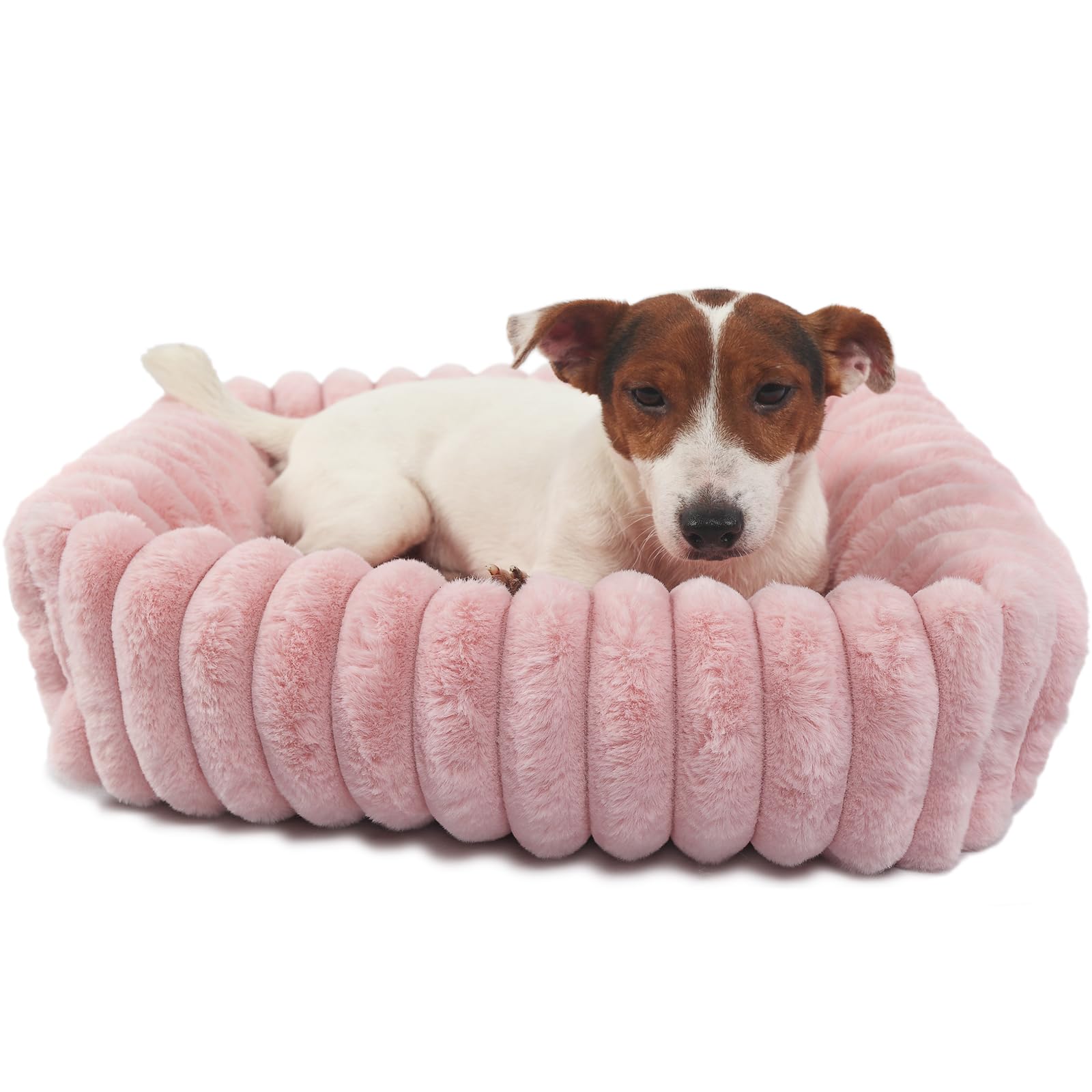 Cute Small Dog Beds For Small Dogs Girl And Cats Washable,Rectangle Cat Bed With Sides Orthopedic Soft Cozy Calming Sleeping Pup