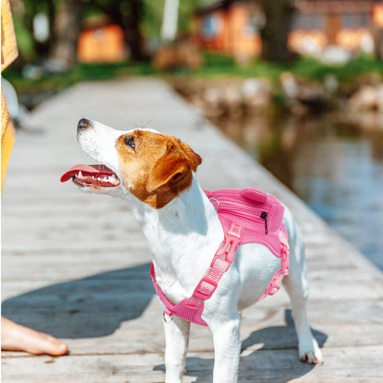 Idomik Dog Backpack Harness, No-Pull Dog Backpack With D-Ring For Small Medium Dogs, Cute Self Carrier Backpack For Dogs To Wear