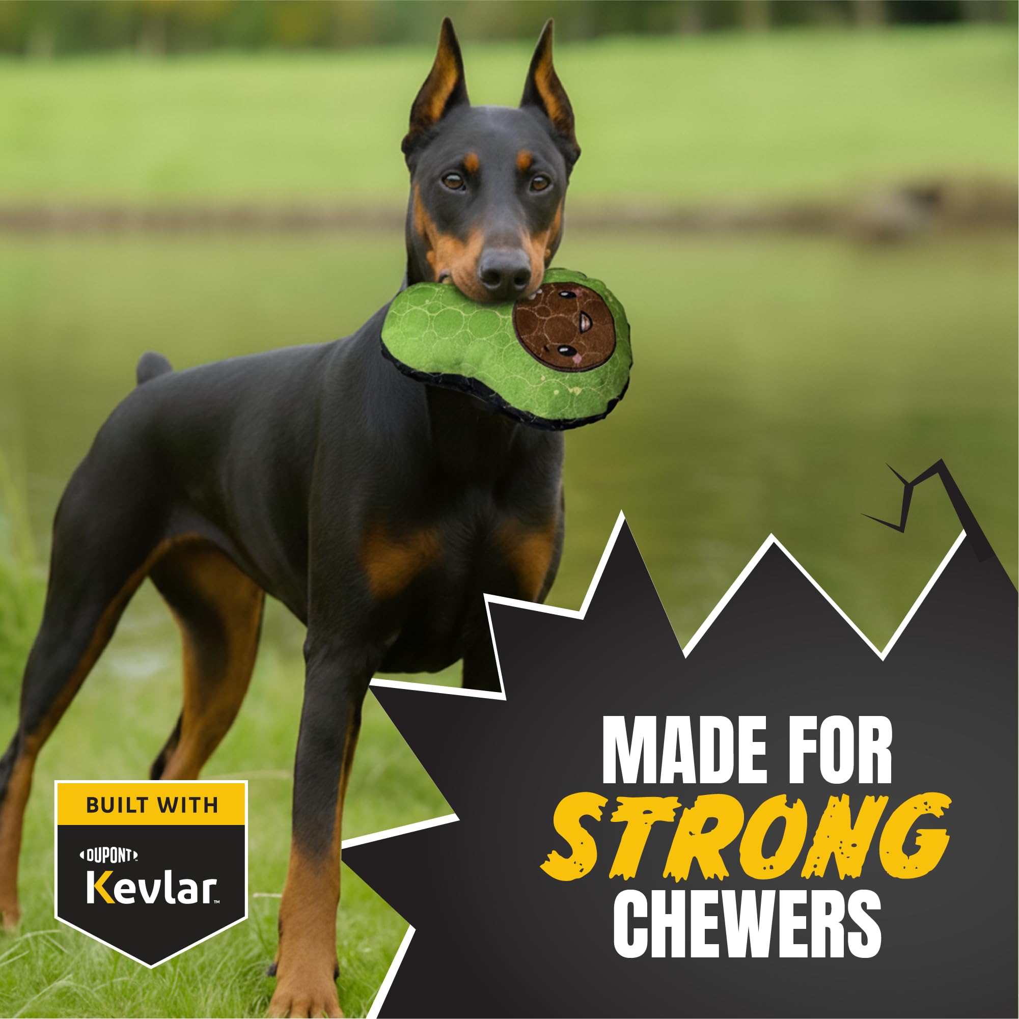 Bite Force - Durable & Strong Dog Toy Avocado Squeaker, Kevlar-Reinforced for Aggressive Chewers for Small Medium Large Dogs - G