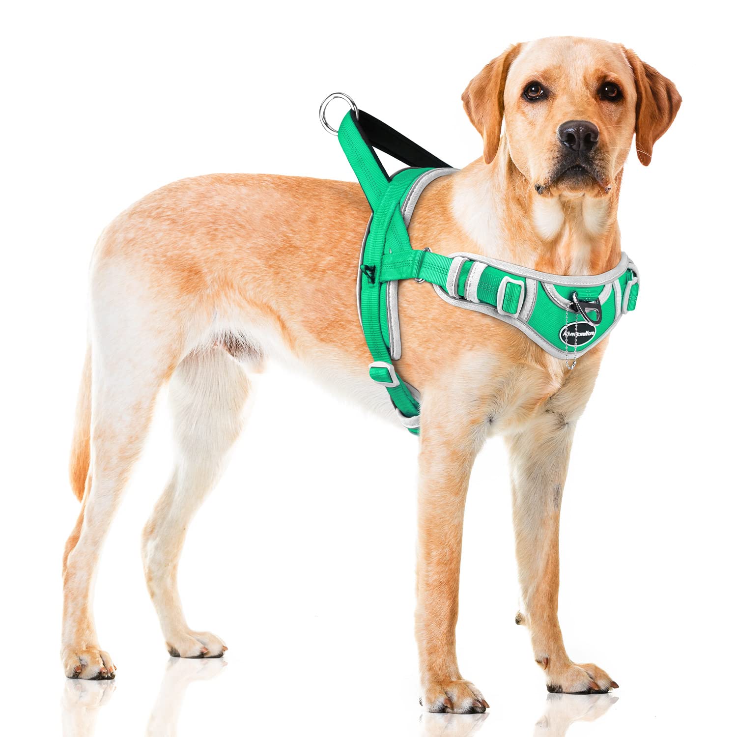 Adventuremore Dog Harness For Medium Dogs No Pull, Sport Dog Halter Harness Adjustable Reflective Dog Vest Escape Proof Dog Harness With Easy Control Front Clip Handle For Training Walking M Green