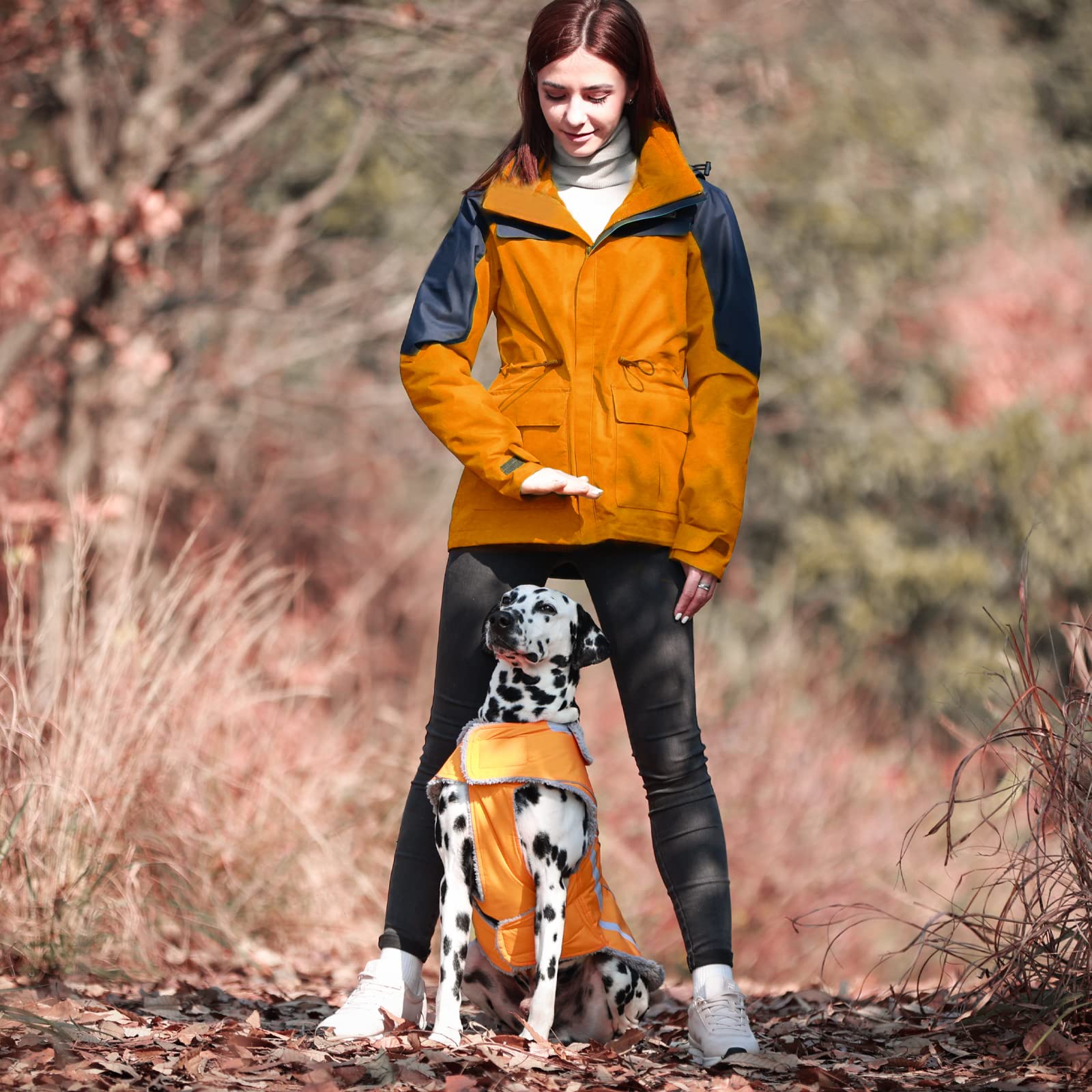 Vivaglory Dog Coat, Lightweight Cozy Fleece Lined Dog Jacket For Late Autumn And Early Winter, Water Resistant Dog Fleece Vest F