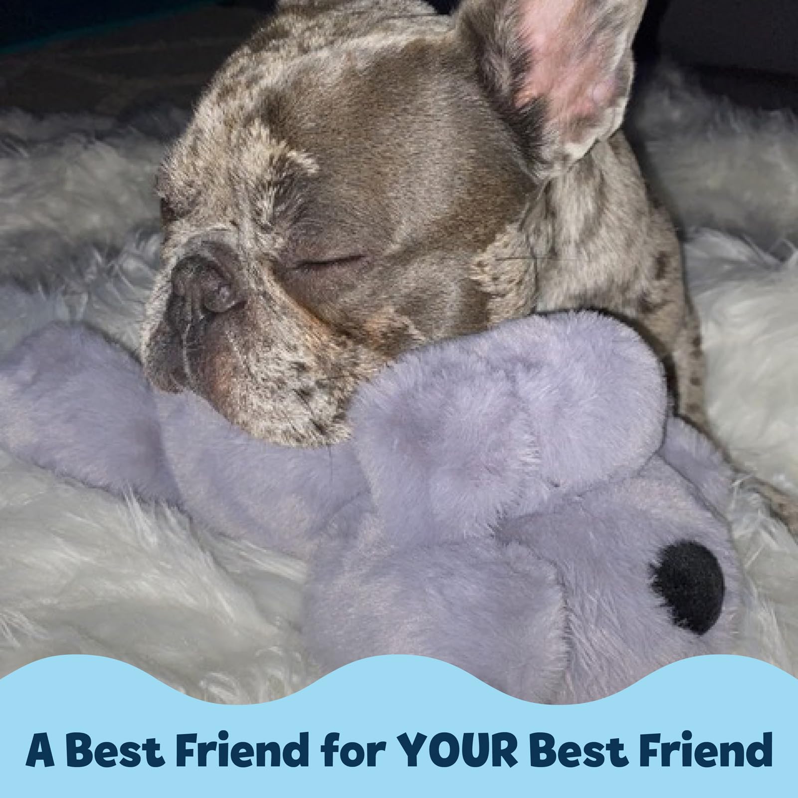 Snuggle Puppy Original Dog Toy for Small Breeds - Heartbeat Puppy for Dogs - Pet Anxiety Relief and Calming Aid - Comfort Dog To