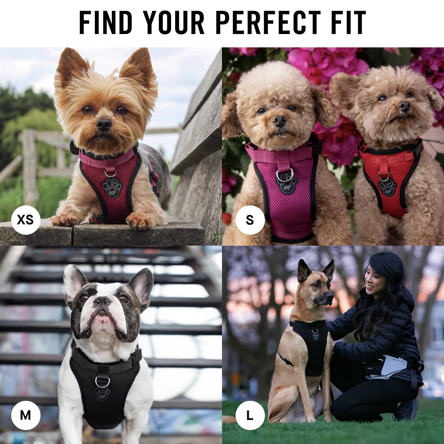Canada Pooch Everything No Pull Dog Harness - Easy Walk Harness For Dogs With Breathable Mesh Exterior, Adjustable Dog Walking Harness Great For Dogs Reflective/S
