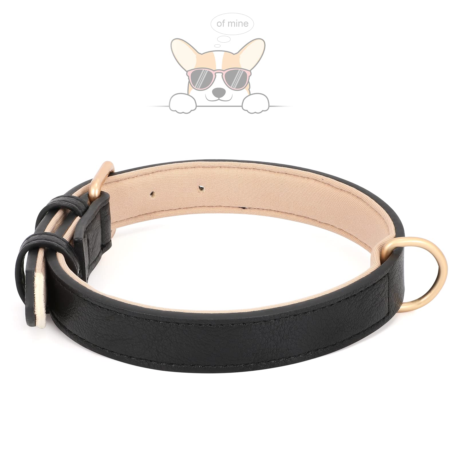 Whippy Leather Dog Collar For Small Medium Large Dog Adjustable Soft Breathable Leather Padded Puppy Collar With Alloy Buckle He