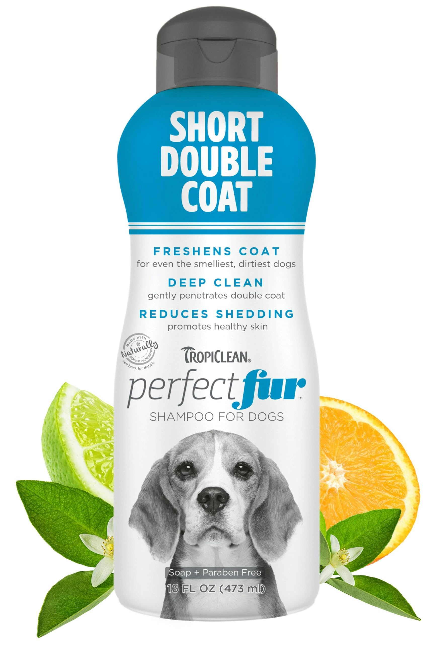 Tropiclean Perfect Fur Deodorizing And Deshedding Dog Shampoo For Smelly Dogs, For Breeds With Short Double Coats Like Corgis, L