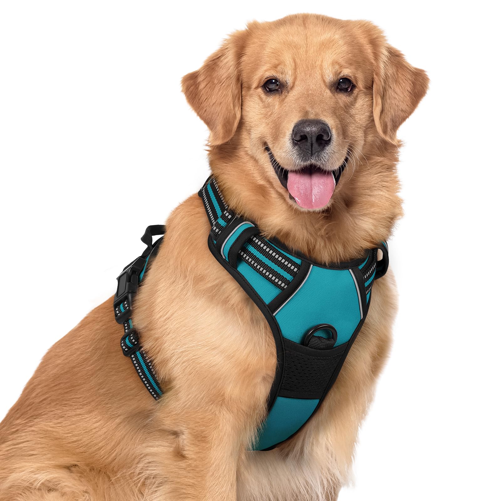 Rabbitgoo Dog Harness, No-Pull Pet Harness With 2 Leash Clips, Adjustable Soft Padded Dog Vest, Reflective No-Choke Pet Oxford Vest With Easy Control Handle For Large Dogs, Teal, Xl