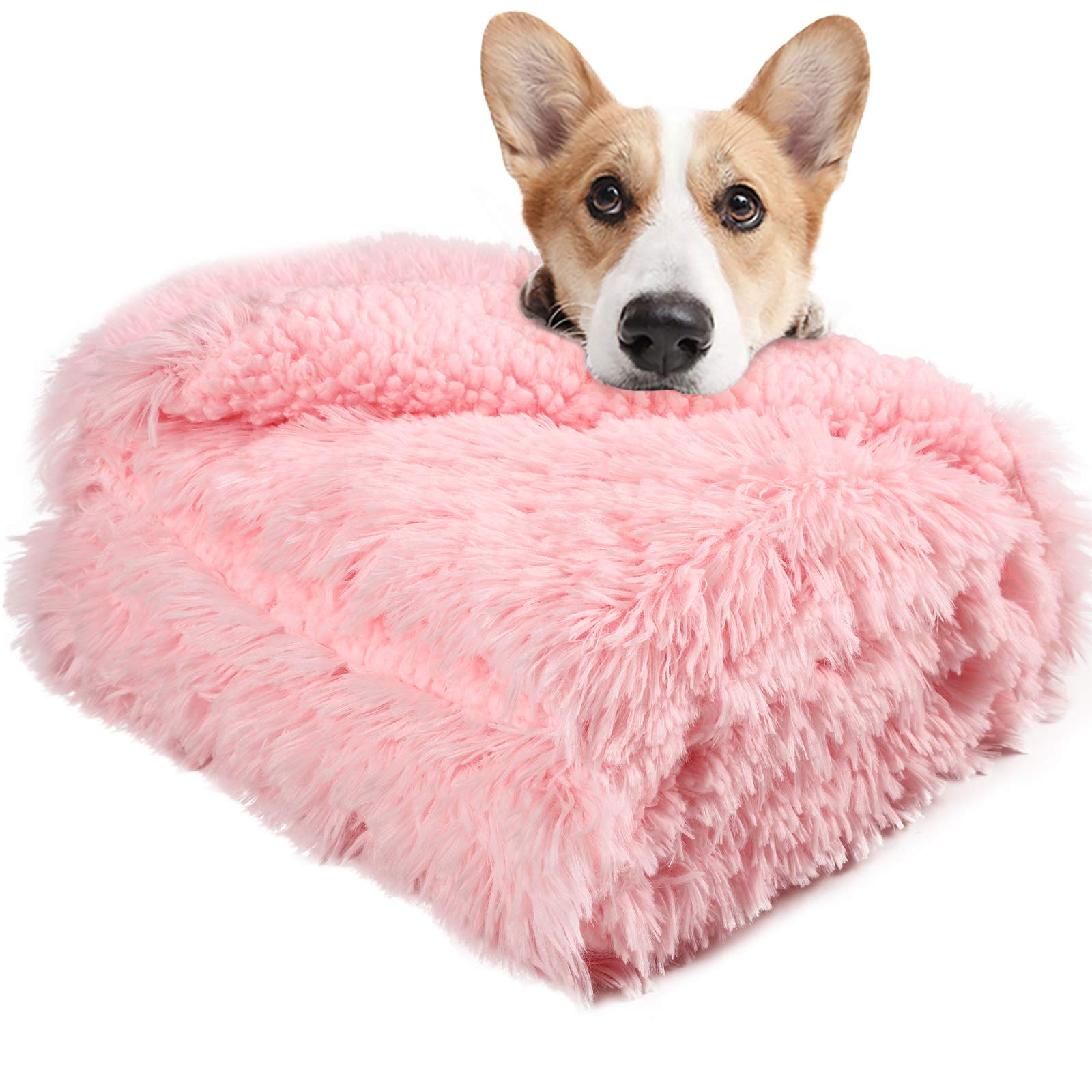 Lochas Luxury Fluffy Dog Blanket, Extra Soft And Warm Sherpa Fleece Pet Blankets For Dogs Cats, Plush Furry Faux Fur Puppy Throw Cover, 40''X60'' Pink