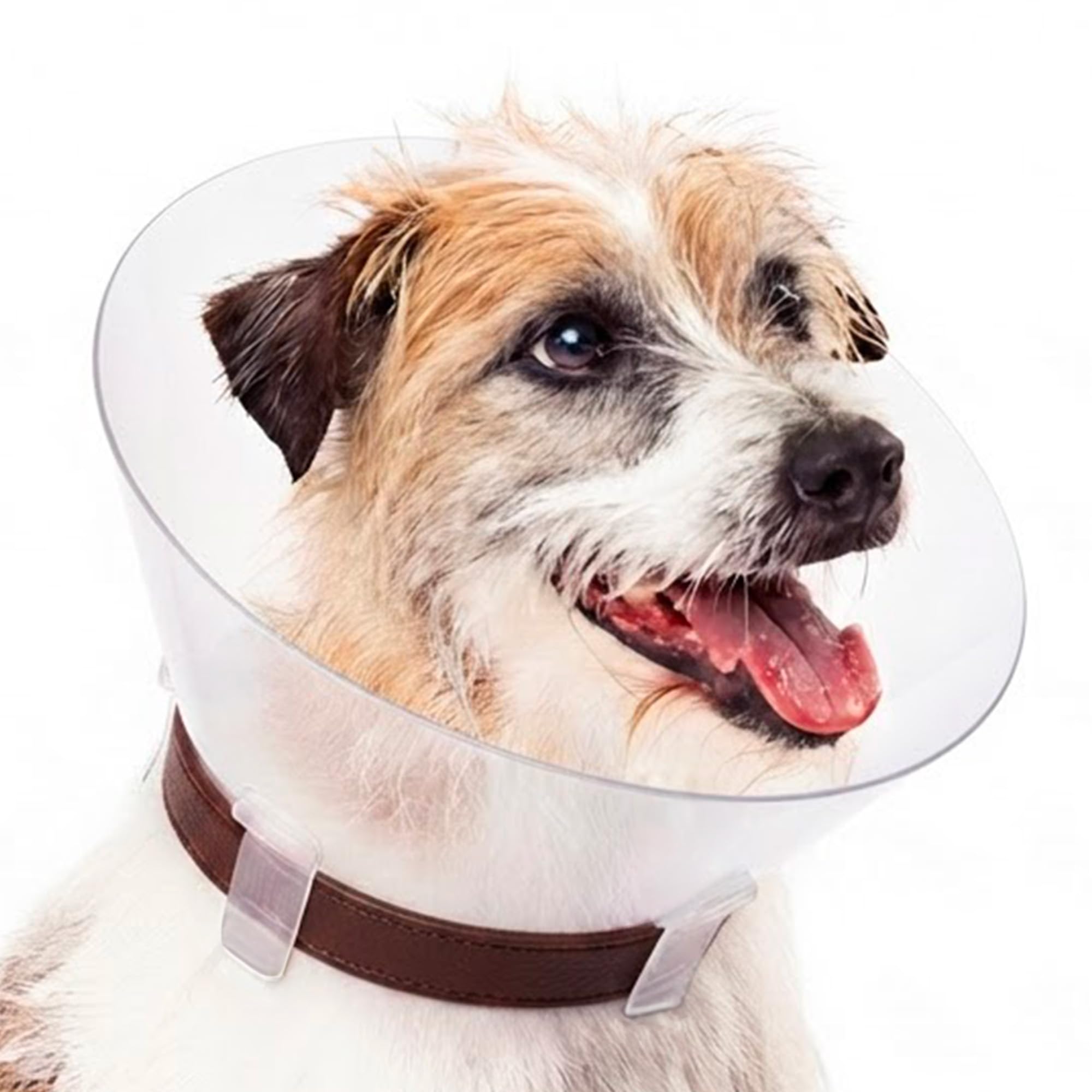 Trixie Protective Dog Collar/ECollar, Medium