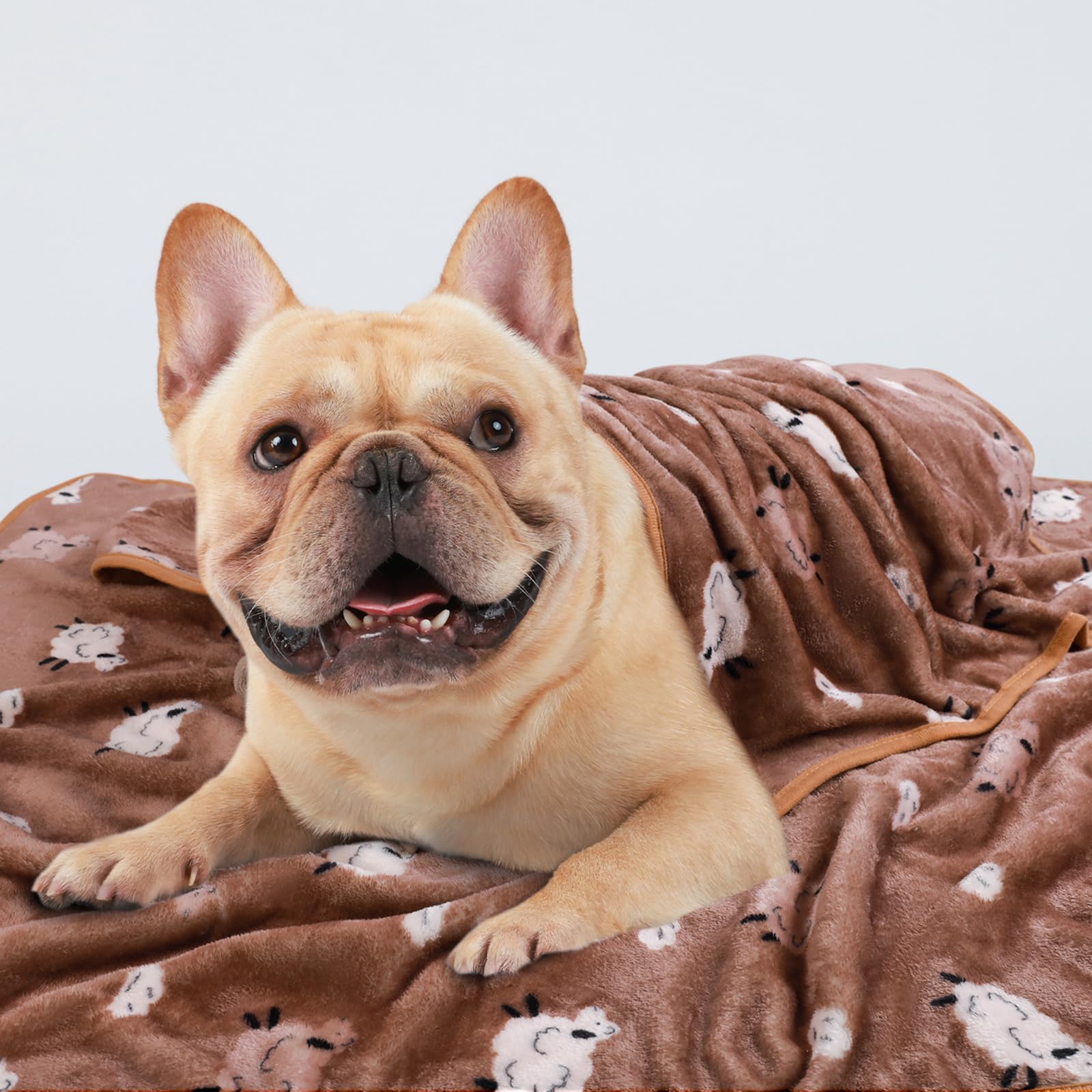 1 Pack 3 Blankets Super Soft Fluffy Premium Cute Elephant Pattern Pet Blanket Flannel Throw for Dog Puppy Cat Brown/Yellow/Blue
